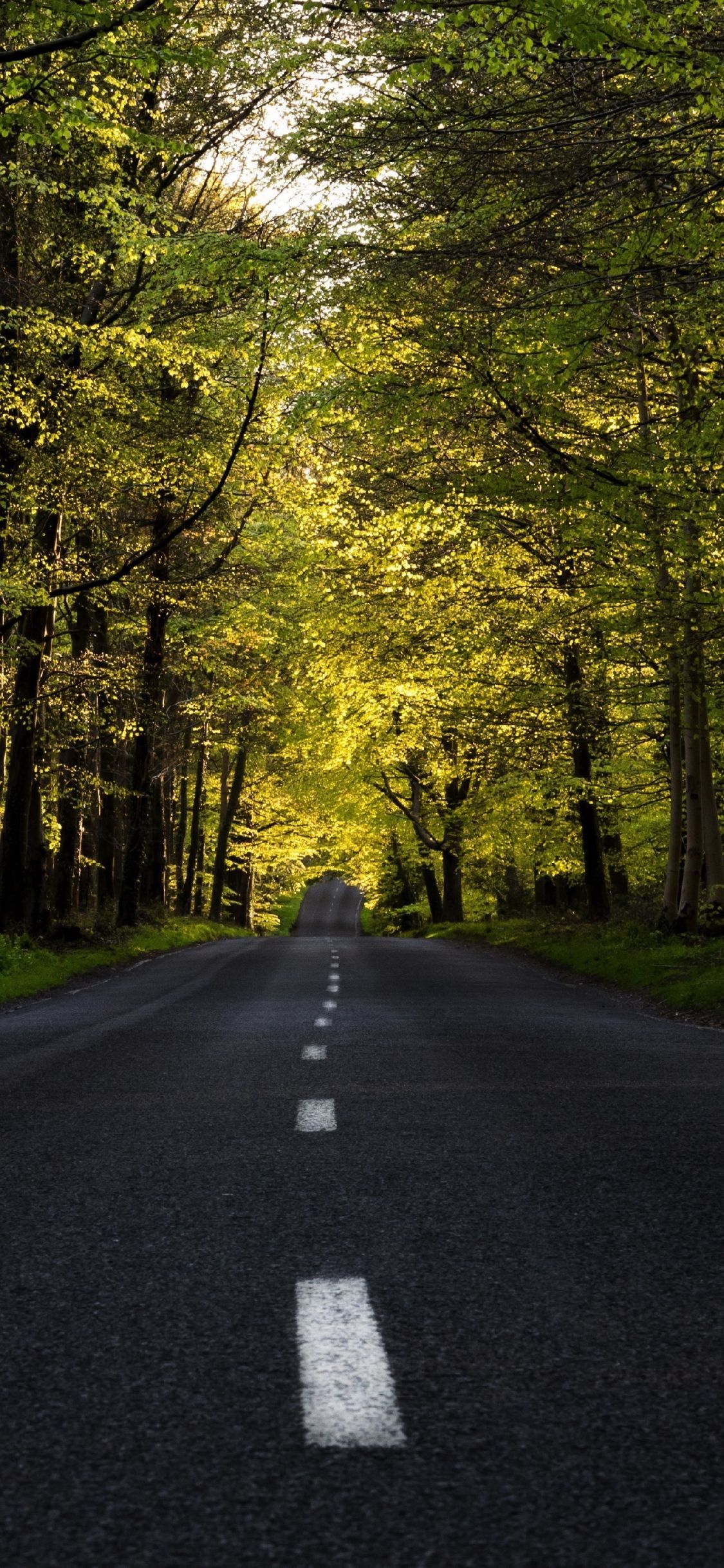 1125x2436 Free download Download highway forest tree road spring 1125x2436 wallpaper [1125x2436] for your Desktop, Mobile & Tablet. Explore Spring Street Wallpaper. City Street Wallpaper, Street Wallpaper, Street Bikes Wallpaper
