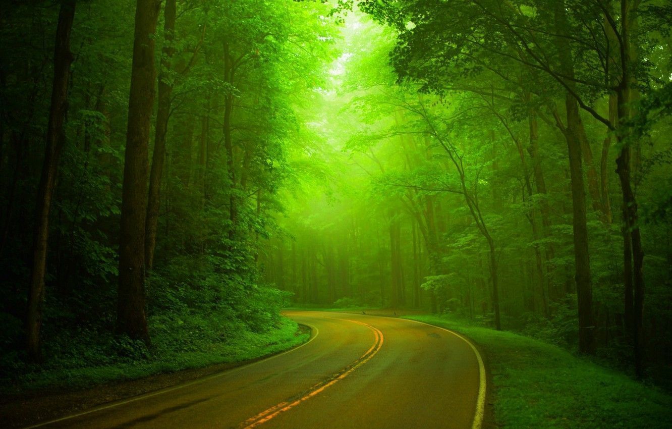 1332x850 Free download Wallpaper road forest trees nature Park spring forest road [1332x850] for your Desktop, Mobile & Tablet. Explore Spring Street Wallpaper. City Street Wallpaper, Street Wallpaper, Street Bikes Wallpaper