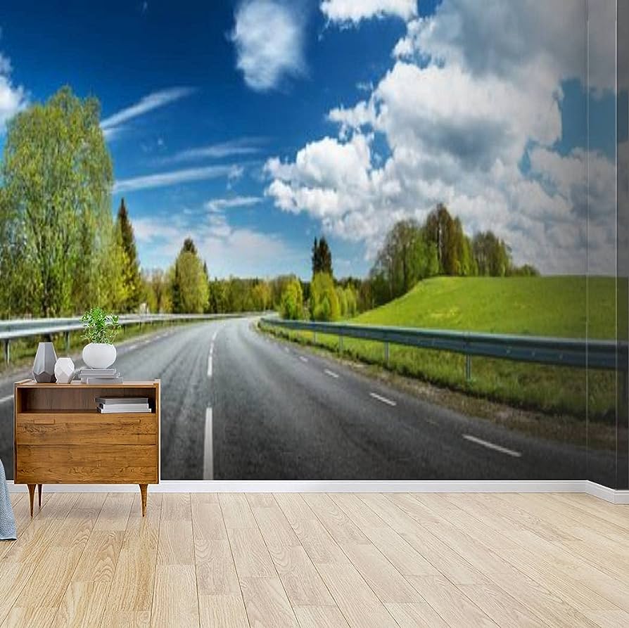894x893 Wallpaper Canvas Print Road Panorama on Sunny Spring Day Self Adhesive Peel & Stick Wallpaper Wall Mural Wall Decal Wall Sticker Poster Home Craft for Living Room : Tools & Home