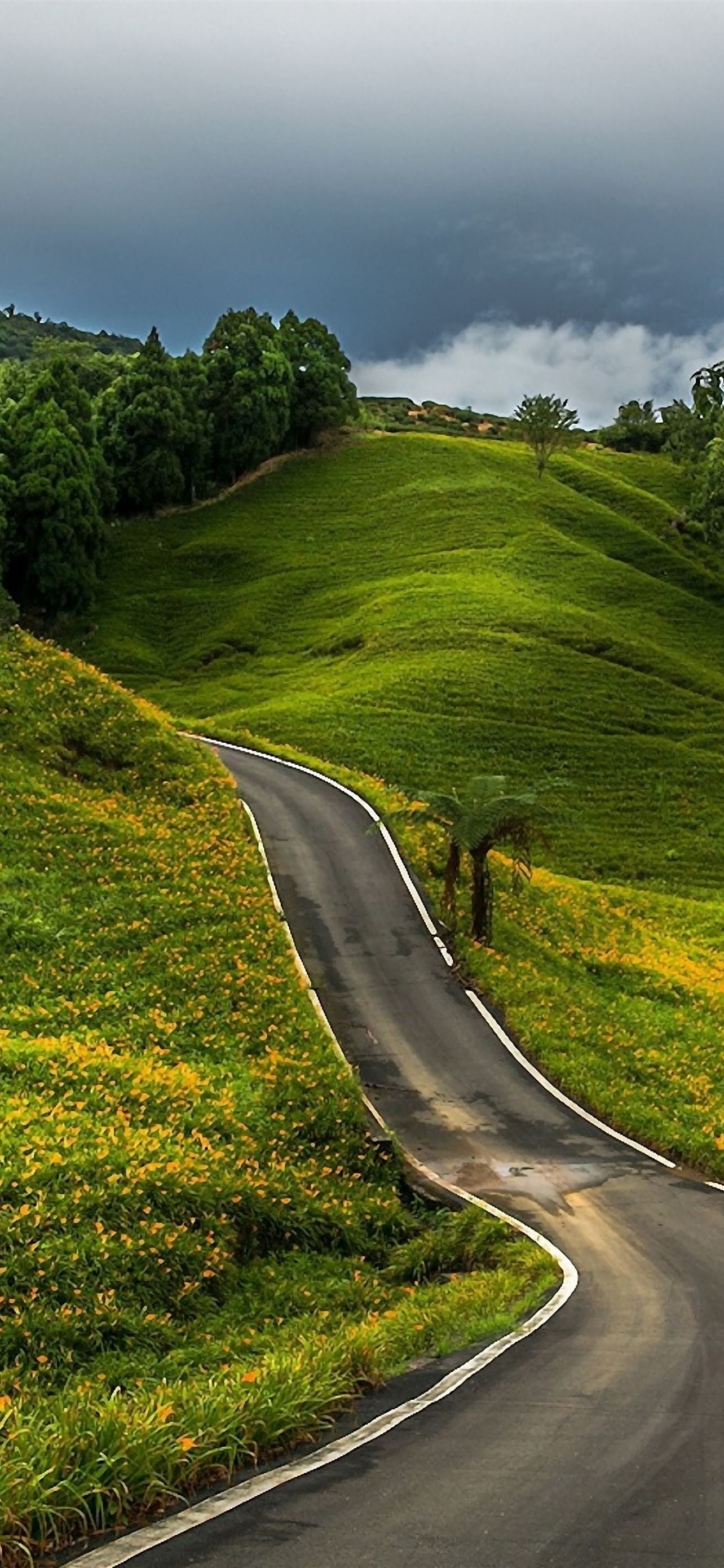 1284x2778 Road Trip iPhone Wallpaper Free Download