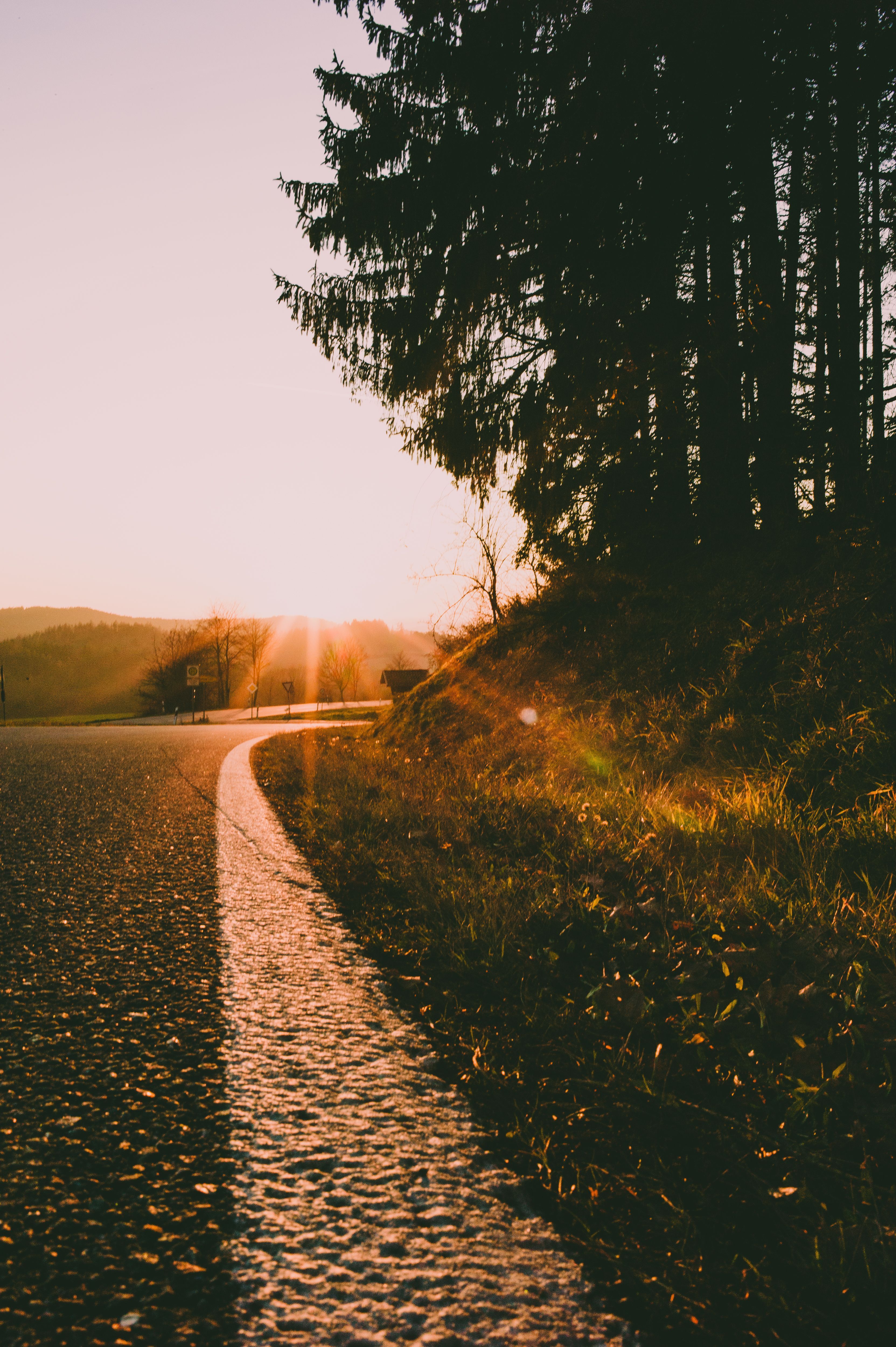 3327x5000 Wallpaper Road, Morning, Sunset, Sunrise, Nature, Background Free Image
