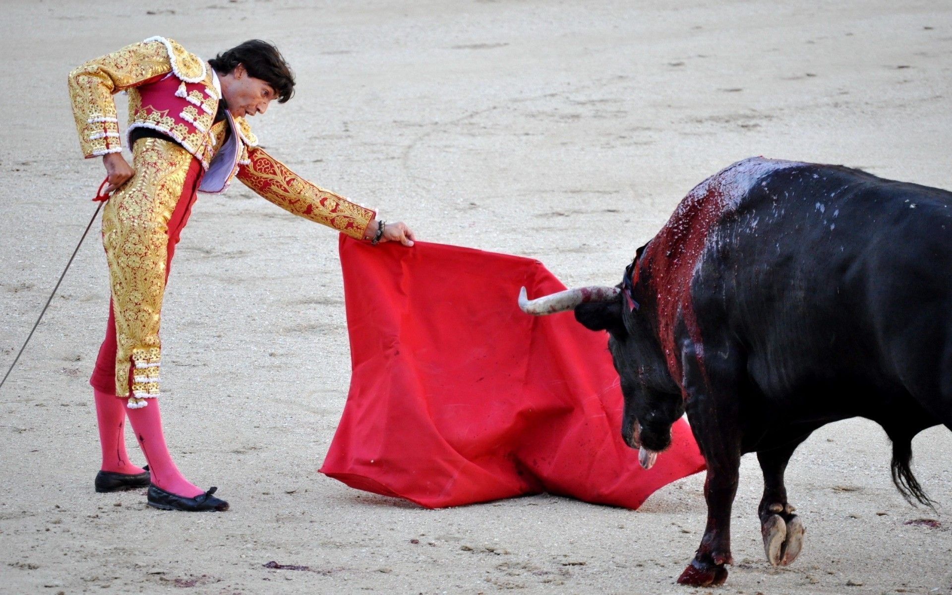 1920x1200 Bullfighting wallpaper on telephone in the section Love and Feelings