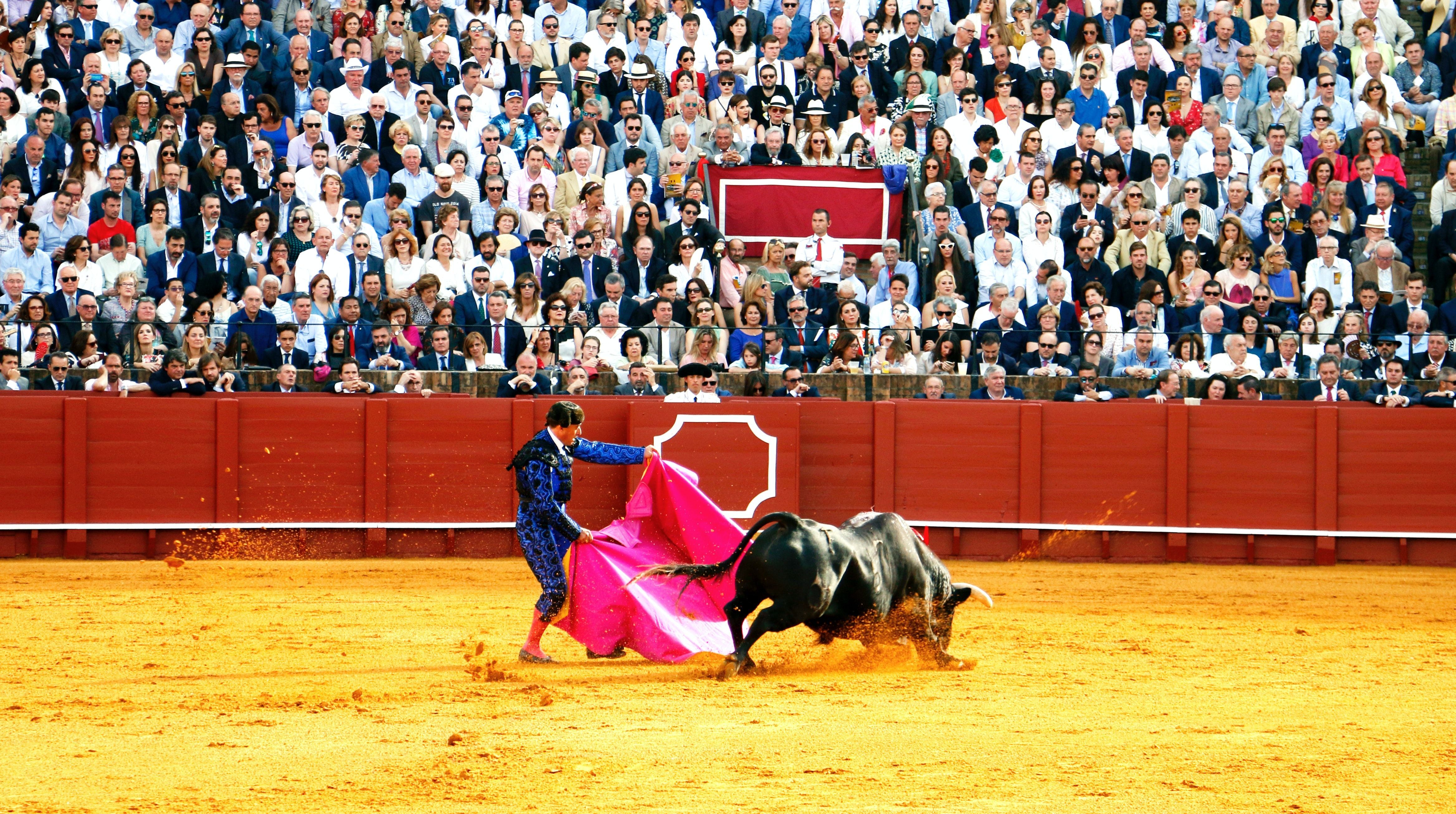 4671x2611 Bullfighter Photo, Download The BEST Free Bullfighter & HD Image