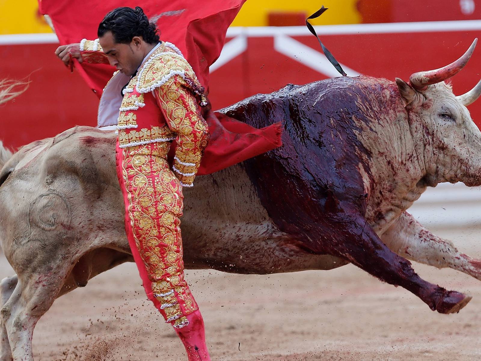 1600x1200 Furore over death of matador highlights bullfighting's woes
