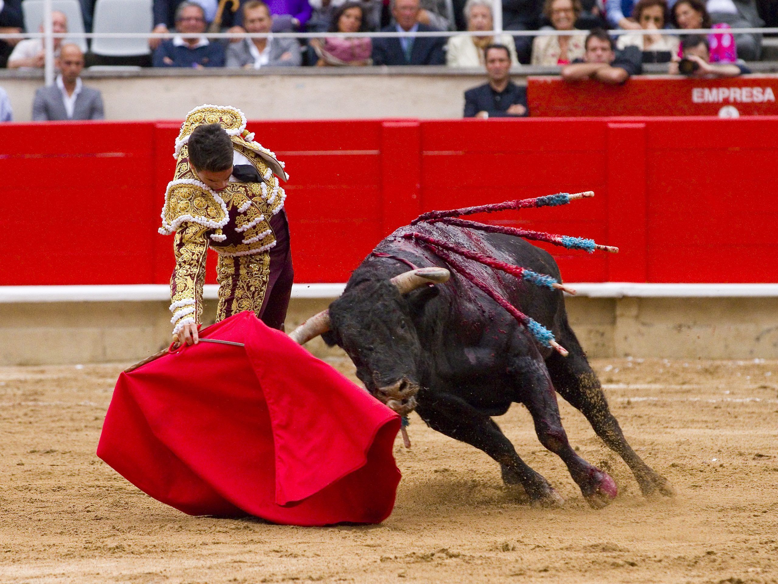 Bullfighting Wallpapers - Top Free Bullfighting Backgrounds ...