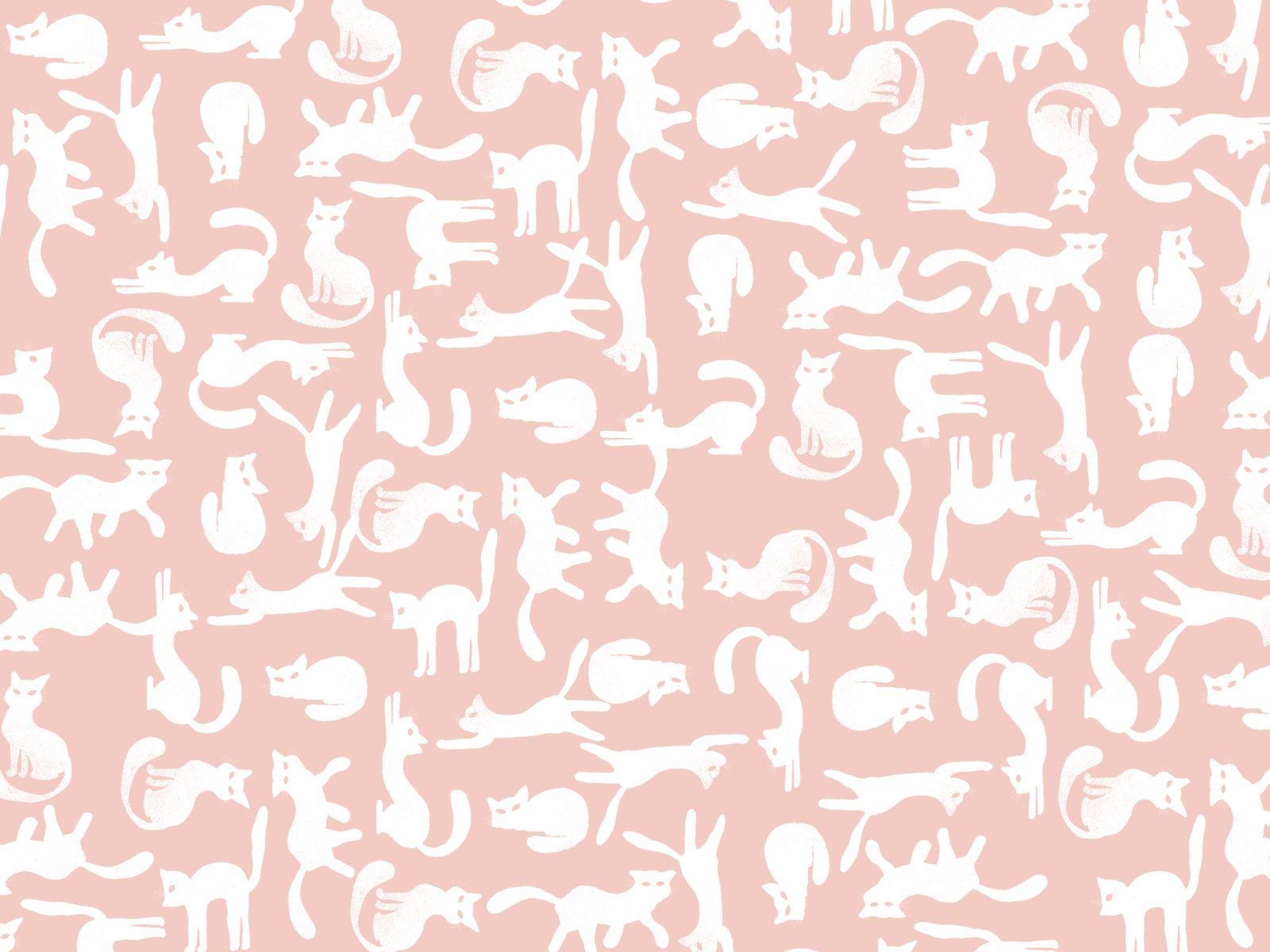 Cat Wallpaper Pattern PNG Images For Free Download  Pngtree