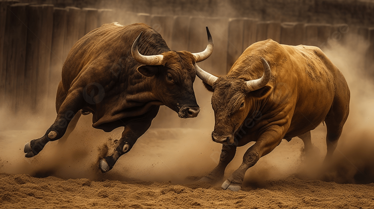 Bullfighting Wallpapers - Top Free Bullfighting Backgrounds