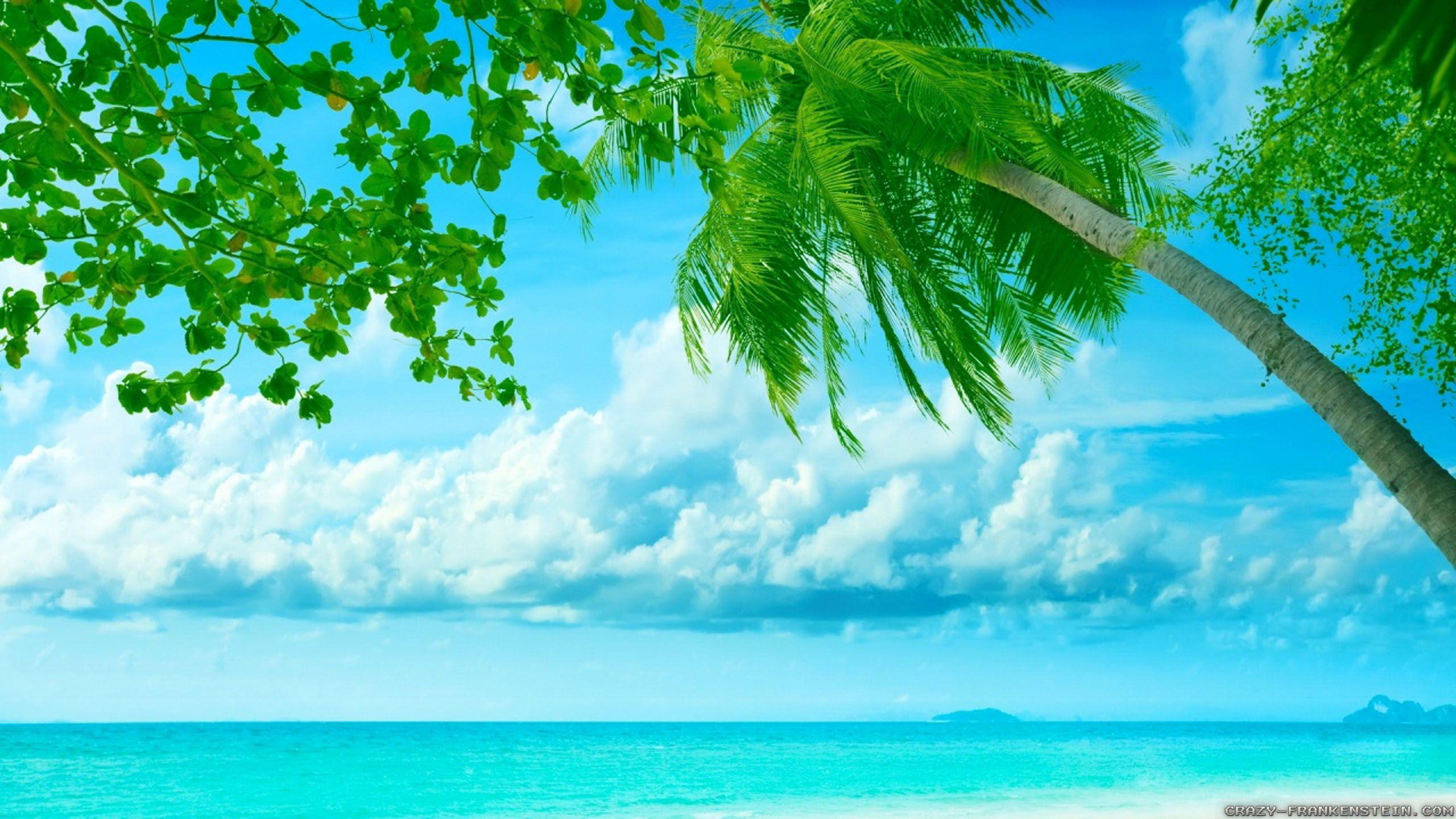 2560x1440 Summer Scenes wallpaper