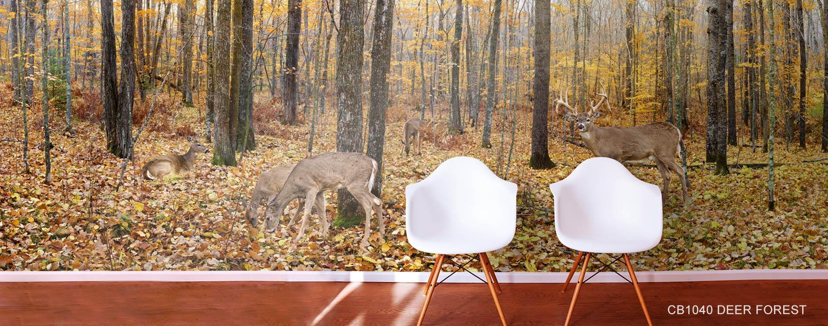 1700x670 Hunting, Fishing & Camping Wall Murals