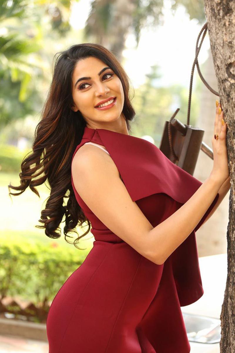 800x1200 Nikki Tamboli HD image. Bollywood, Indian movies, Hollywood cinema