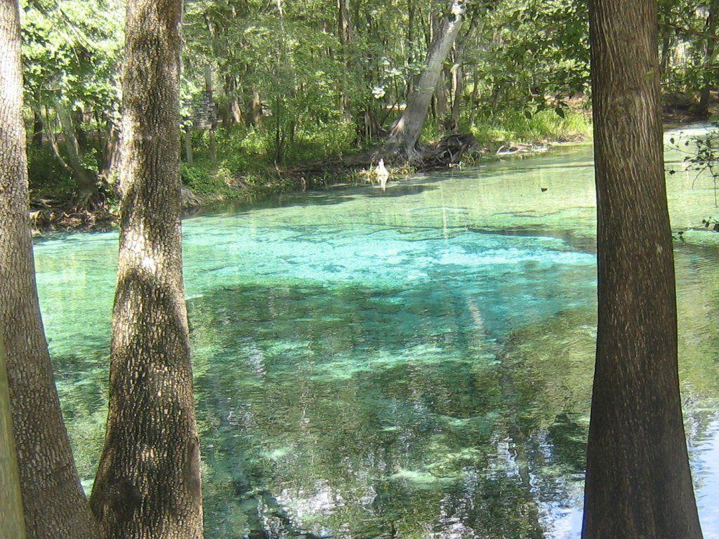 1024x768 Ginnie Springs State Park. Ginnie Springs 1024x768