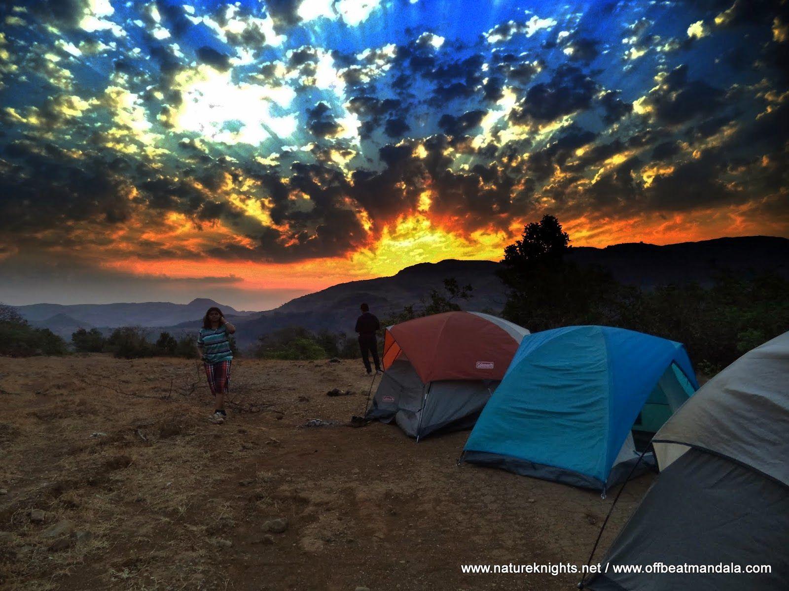 1600x1200 Nature Knights: New Year Eve Camping Bash