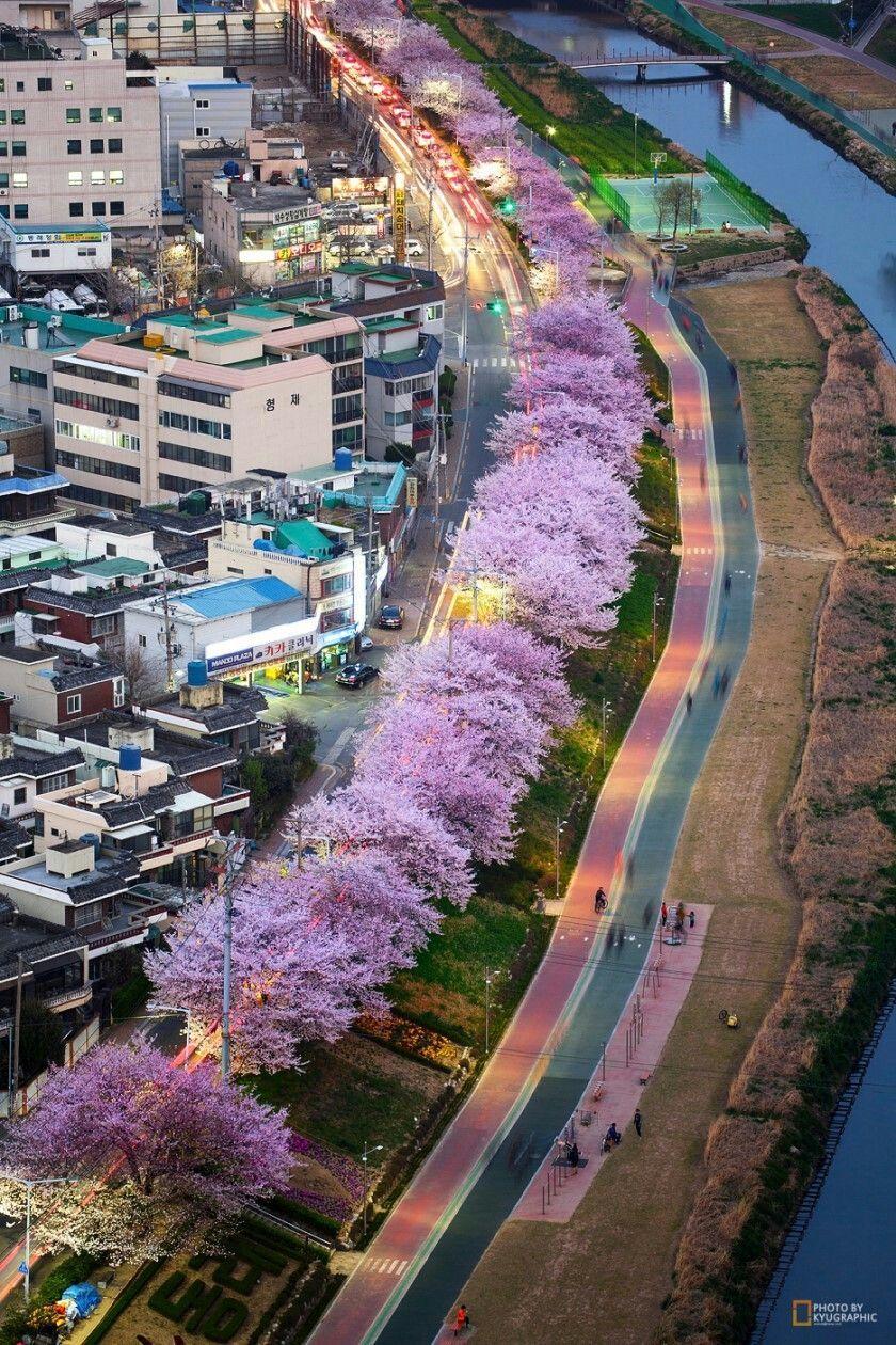 840x1260 Busan, Hàn Quốc.  Korea.  Busan, Hàn Quốc và Hàn Quốc