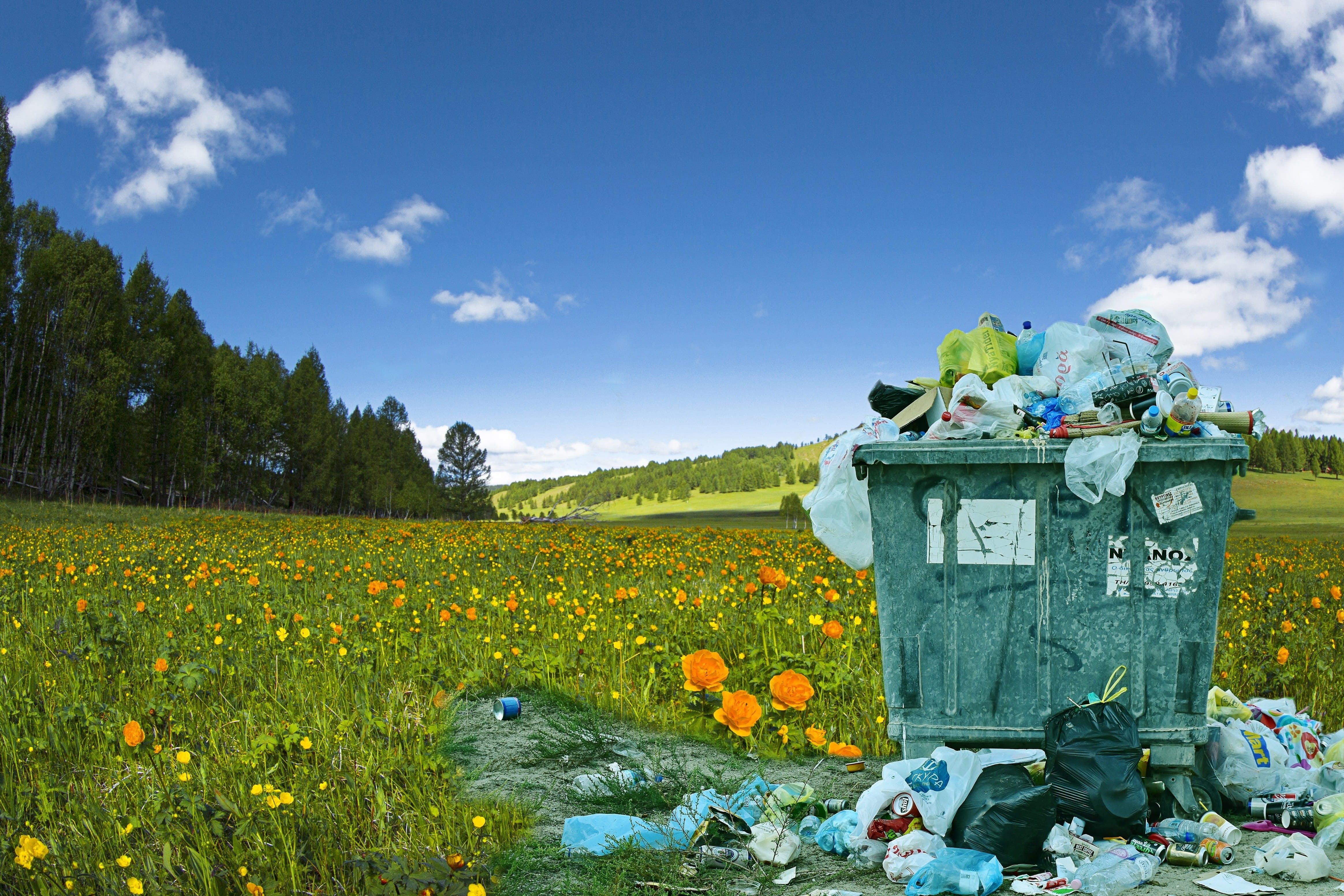 4656x3104 Wallpaper / pollution, field, polluted, conservation, sky, garbage, outdoors, blue, environment, trash, 4K, landscape, junk, recycle, cloud, problem, plant free download