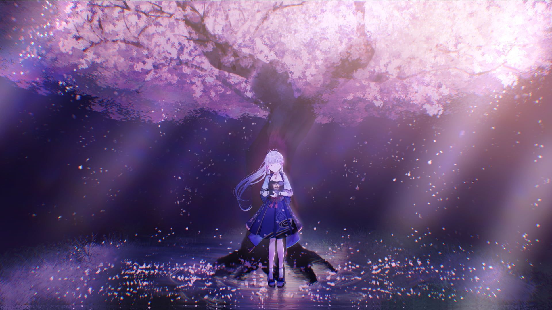 1920x1080 HD wallpaper: Genshin Impact, Kamisato Ayaka(Genshin Impact), cherry blossom. Pc desktop wallpaper, Cherry blossom wallpaper, Wallpaper