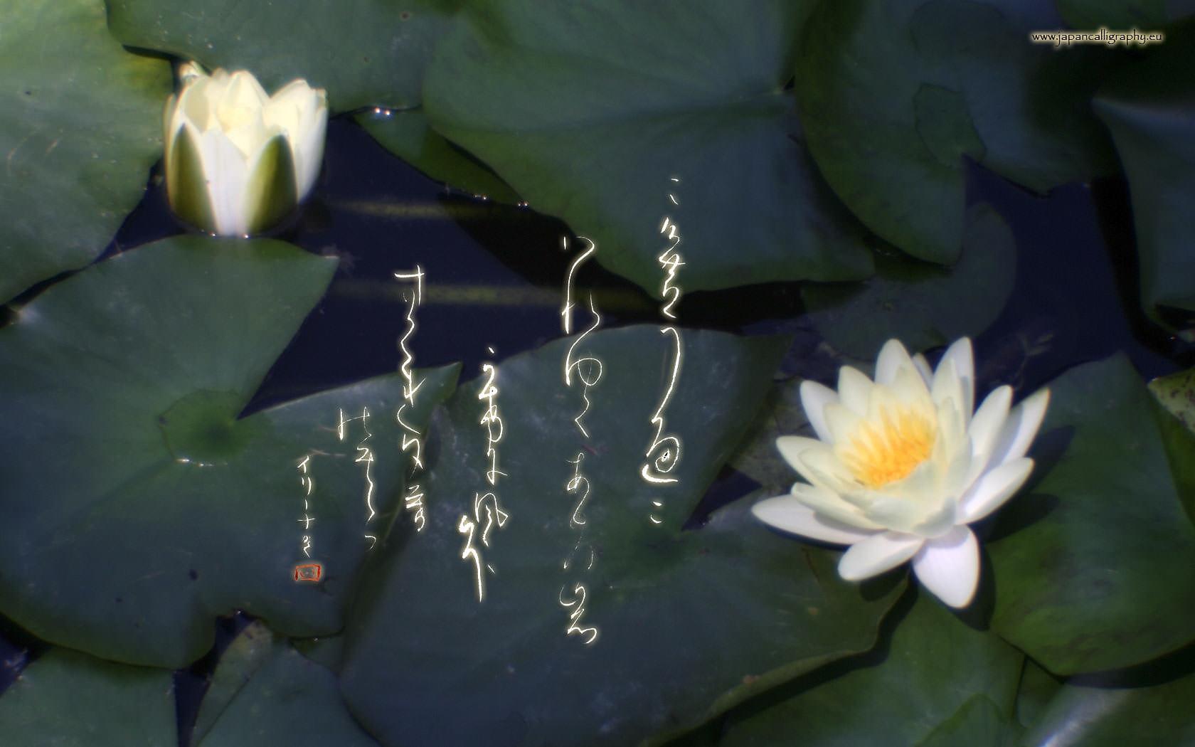 1680x1050 Japanese calligraphy desktop wallpaper Seasons