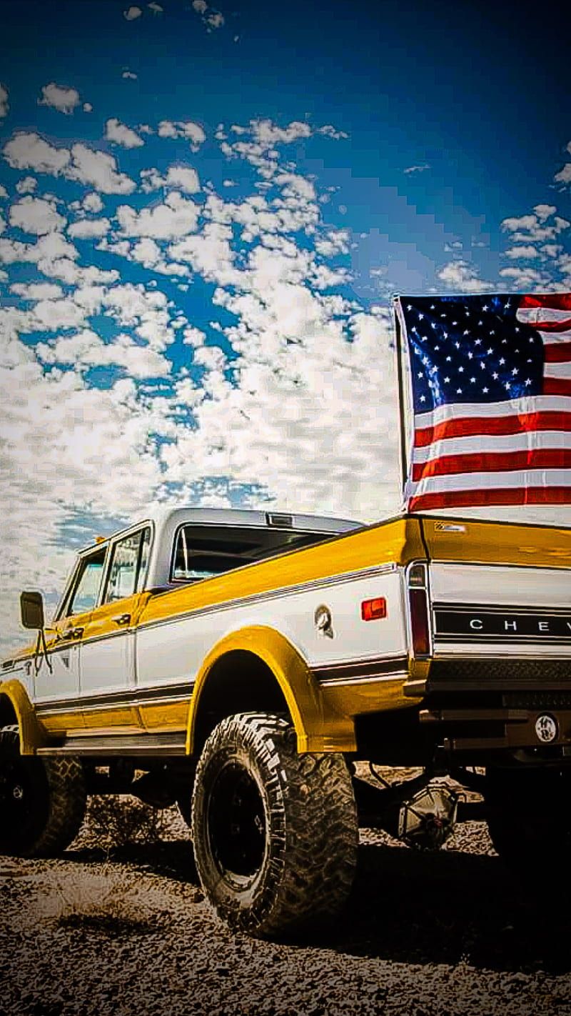 800x1422 EUA Chevrolet Truck, old, c trucks, HD phone wallpaper