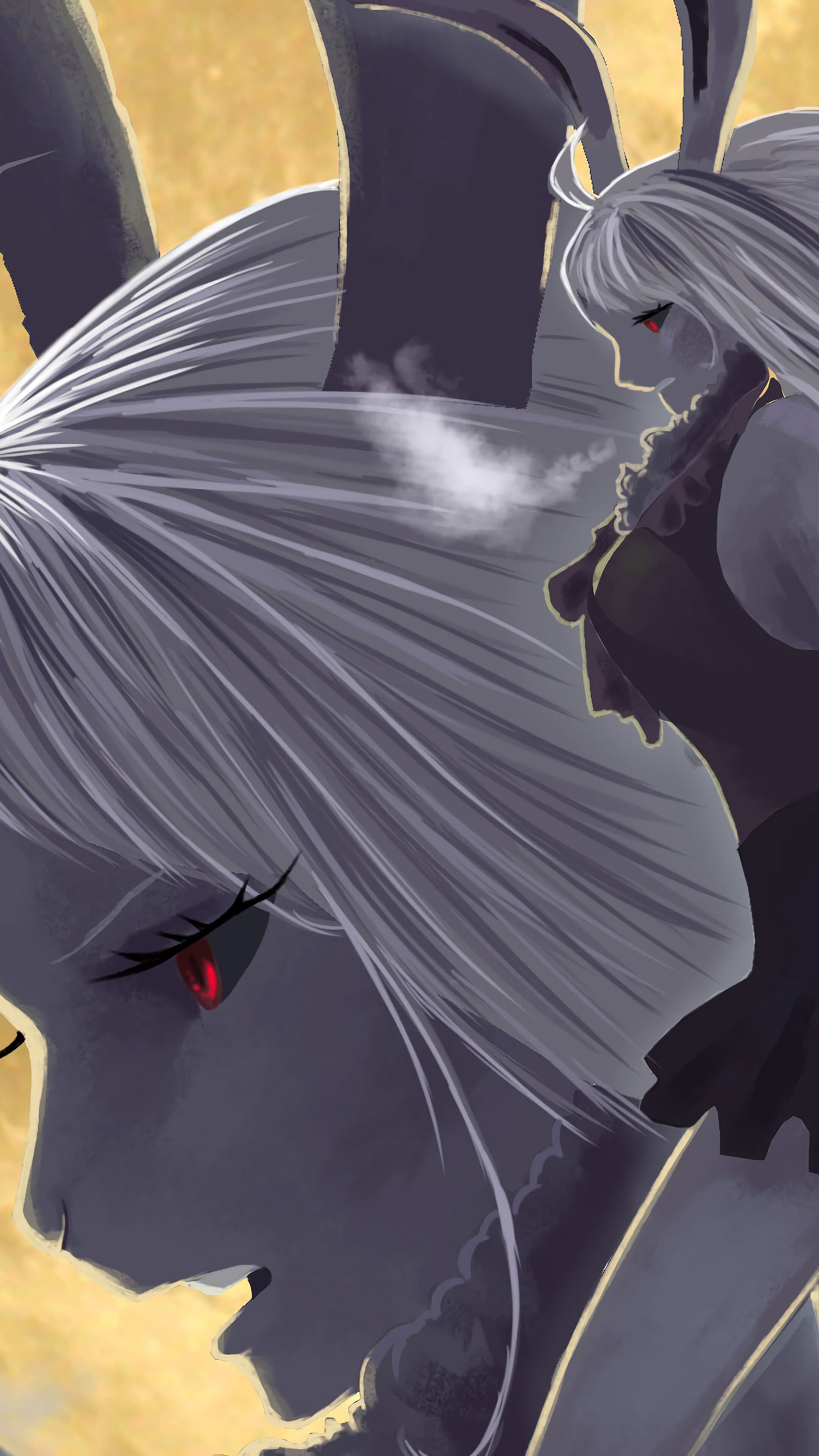 2160x3840 Carrot, Sulong, Form, One Piece, 4k Gallery HD Wallpaper