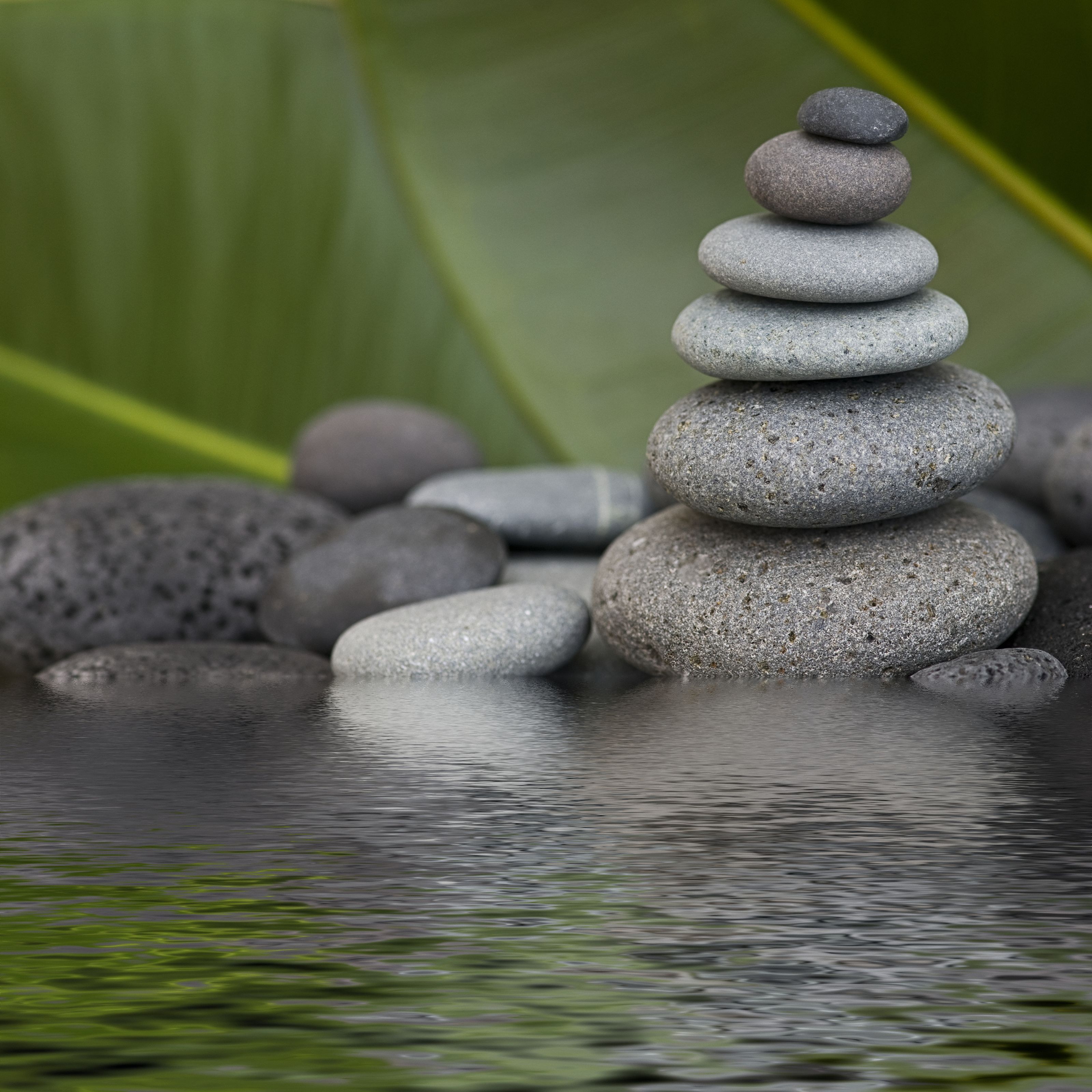 3200x3200 Zen Rock Pond Wall Mural by Andrea Haase Your Way