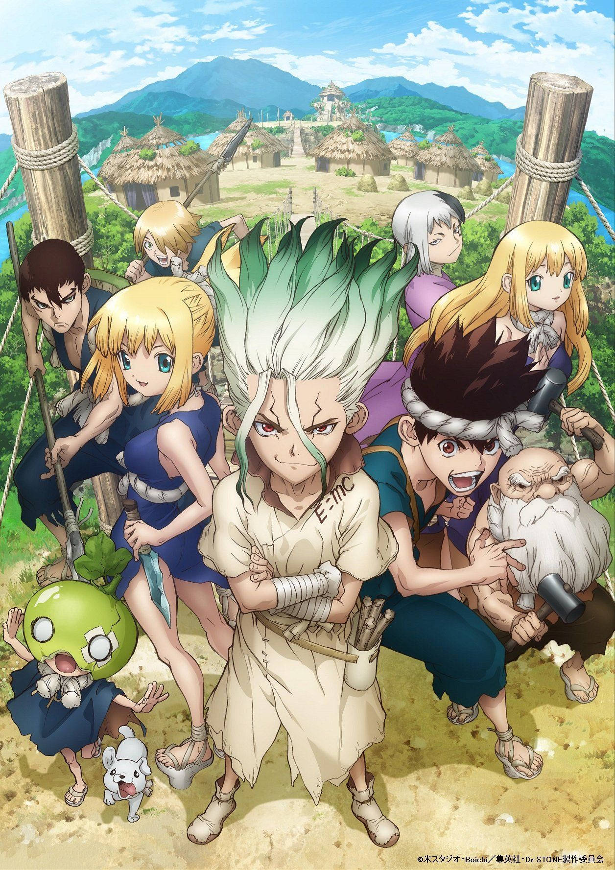 1256x1777 Dr Stone Wallpaper