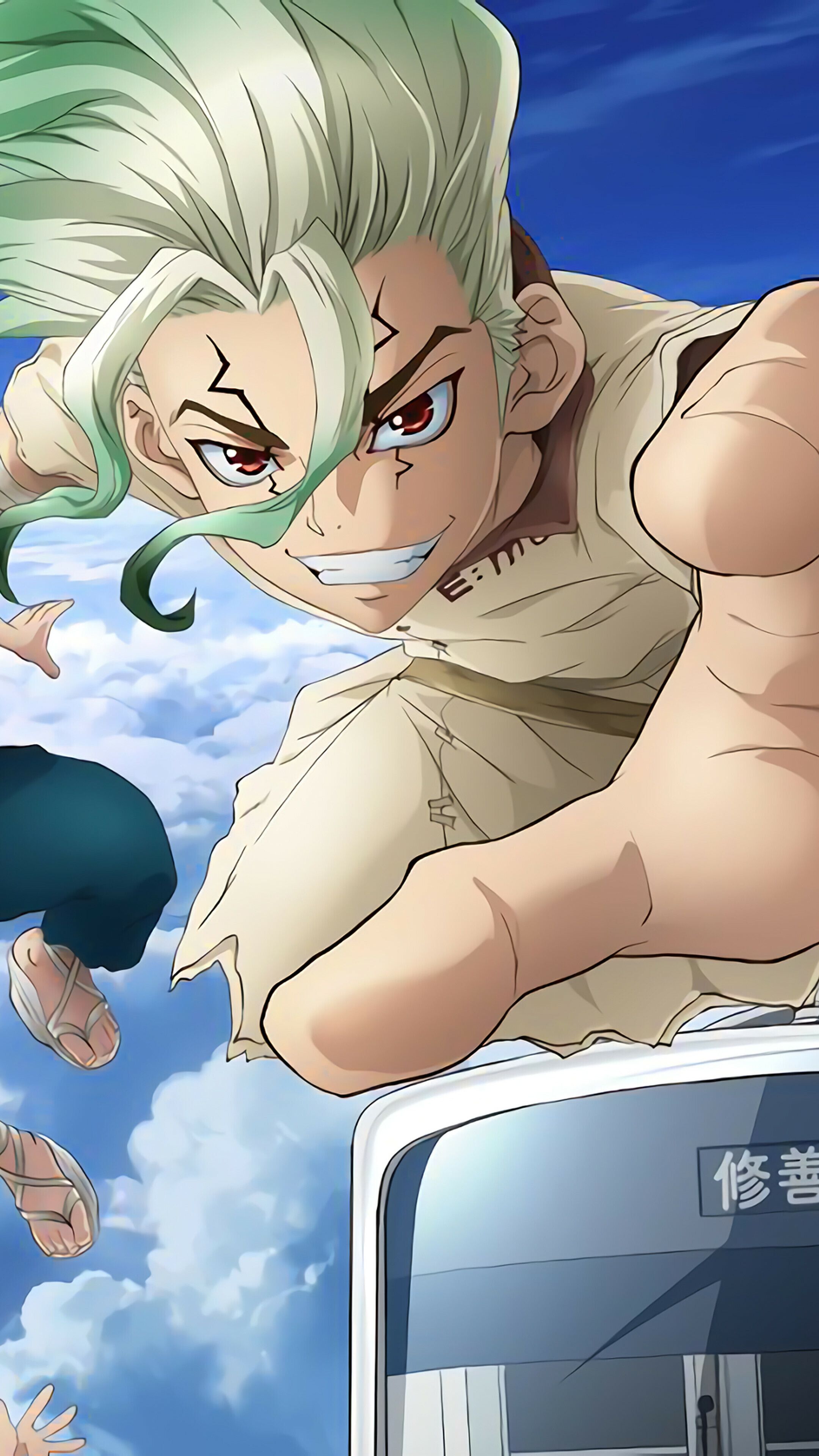 2160x3840 Dr.STONE Wallpaper (image inside)