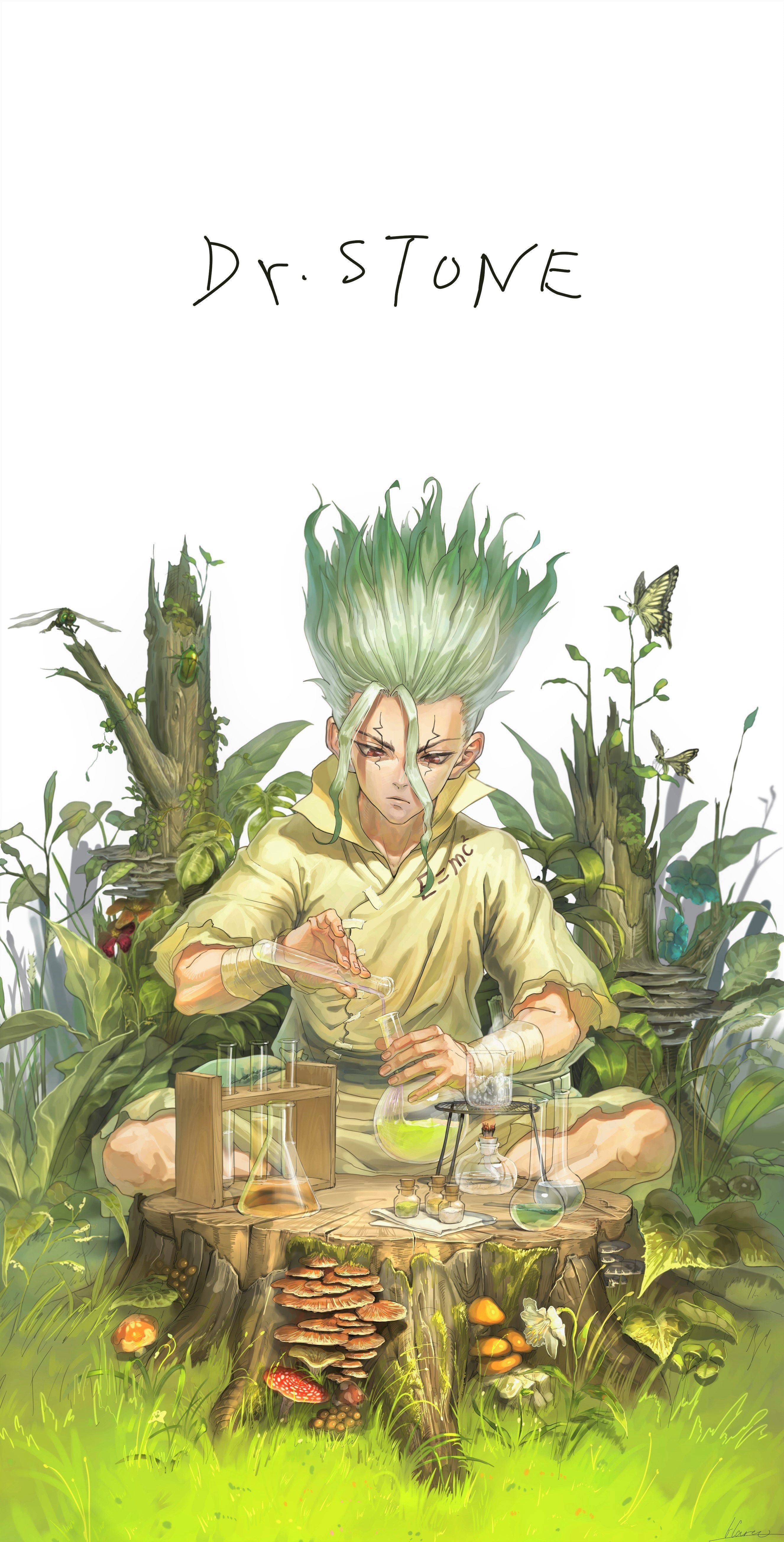 Dr. Stone Phone Wallpapers Top Free