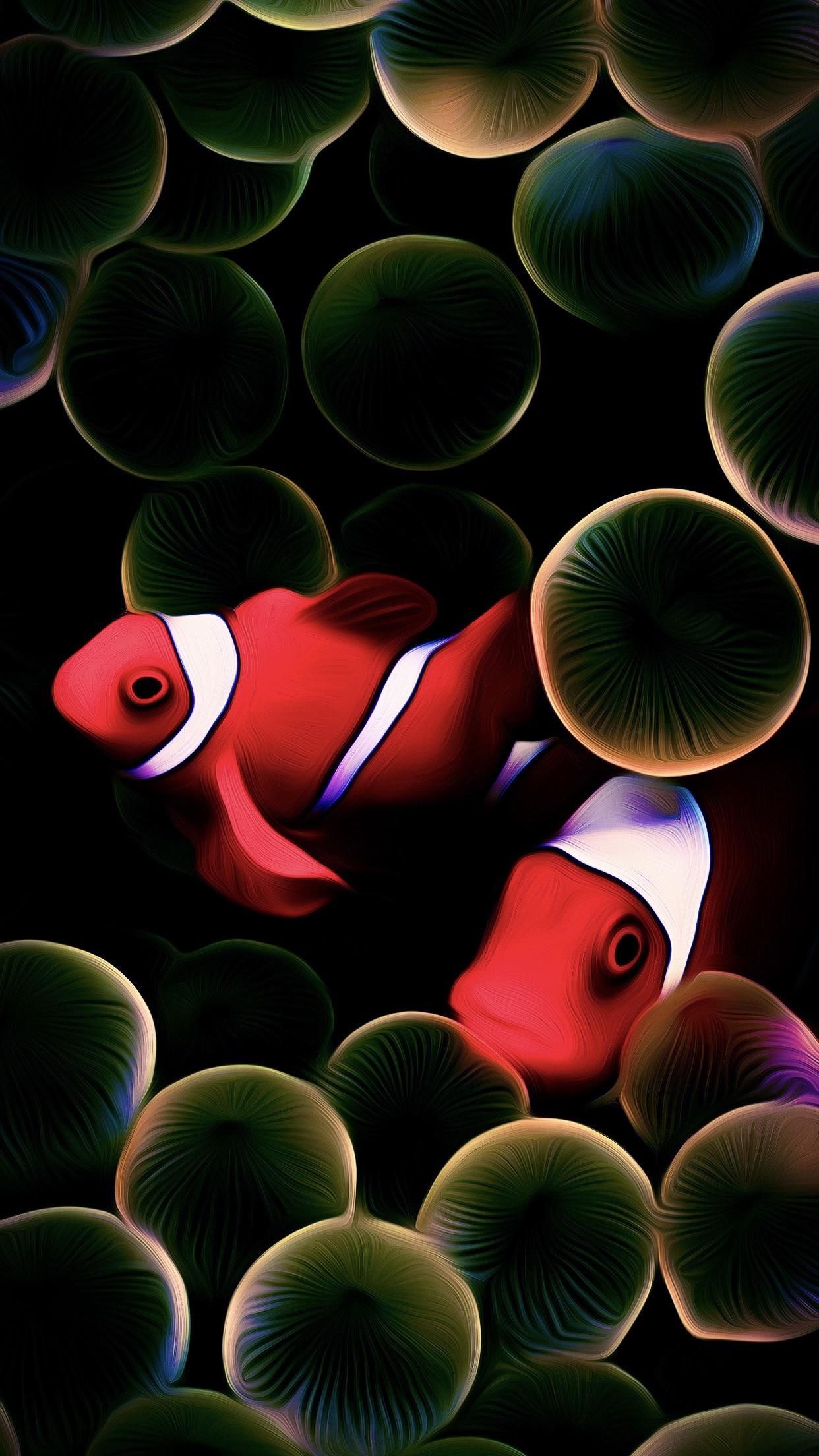 1242x2208 iPhone 2g Wallpaper