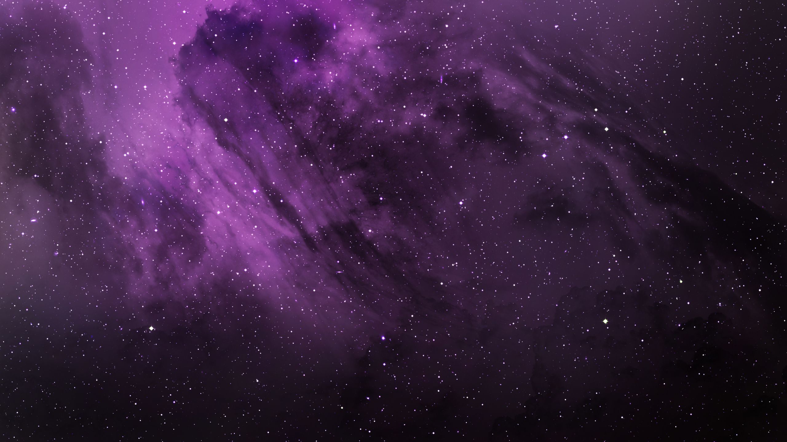 2560X1440 Purple Wallpapers - Top Free 2560X1440 Purple Backgrounds ...