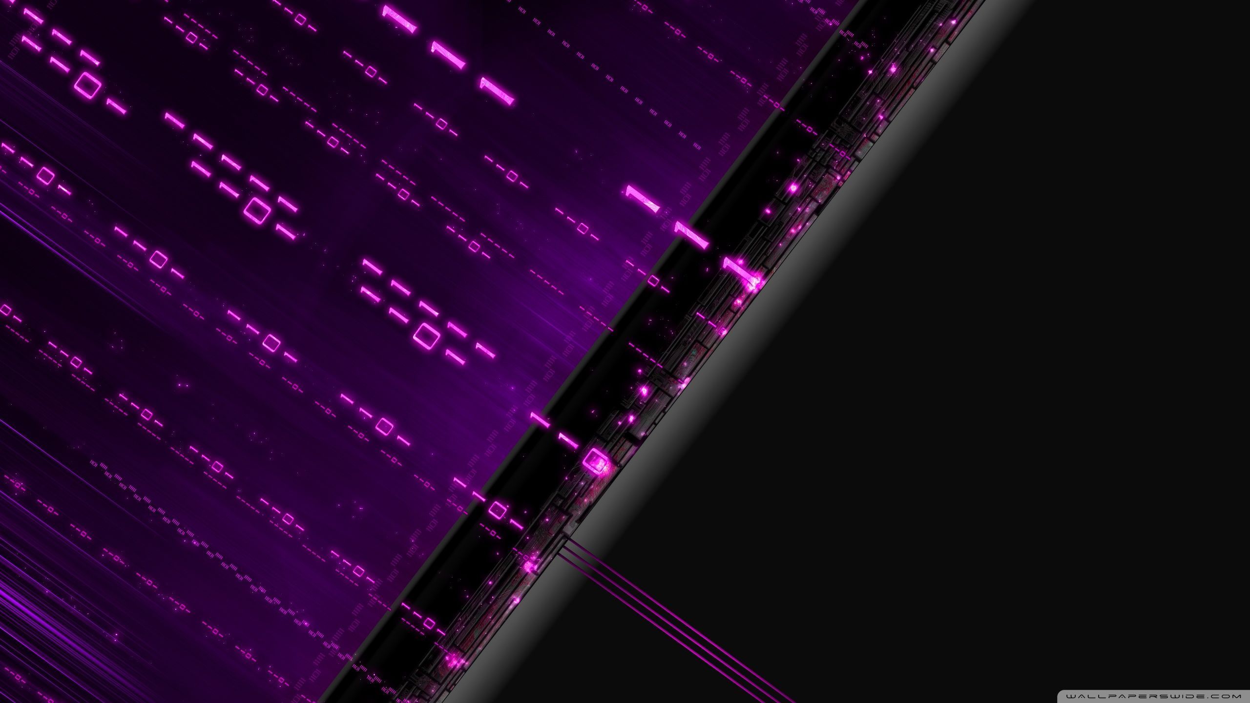 2560x1440 Purple Desktop Wallpaper