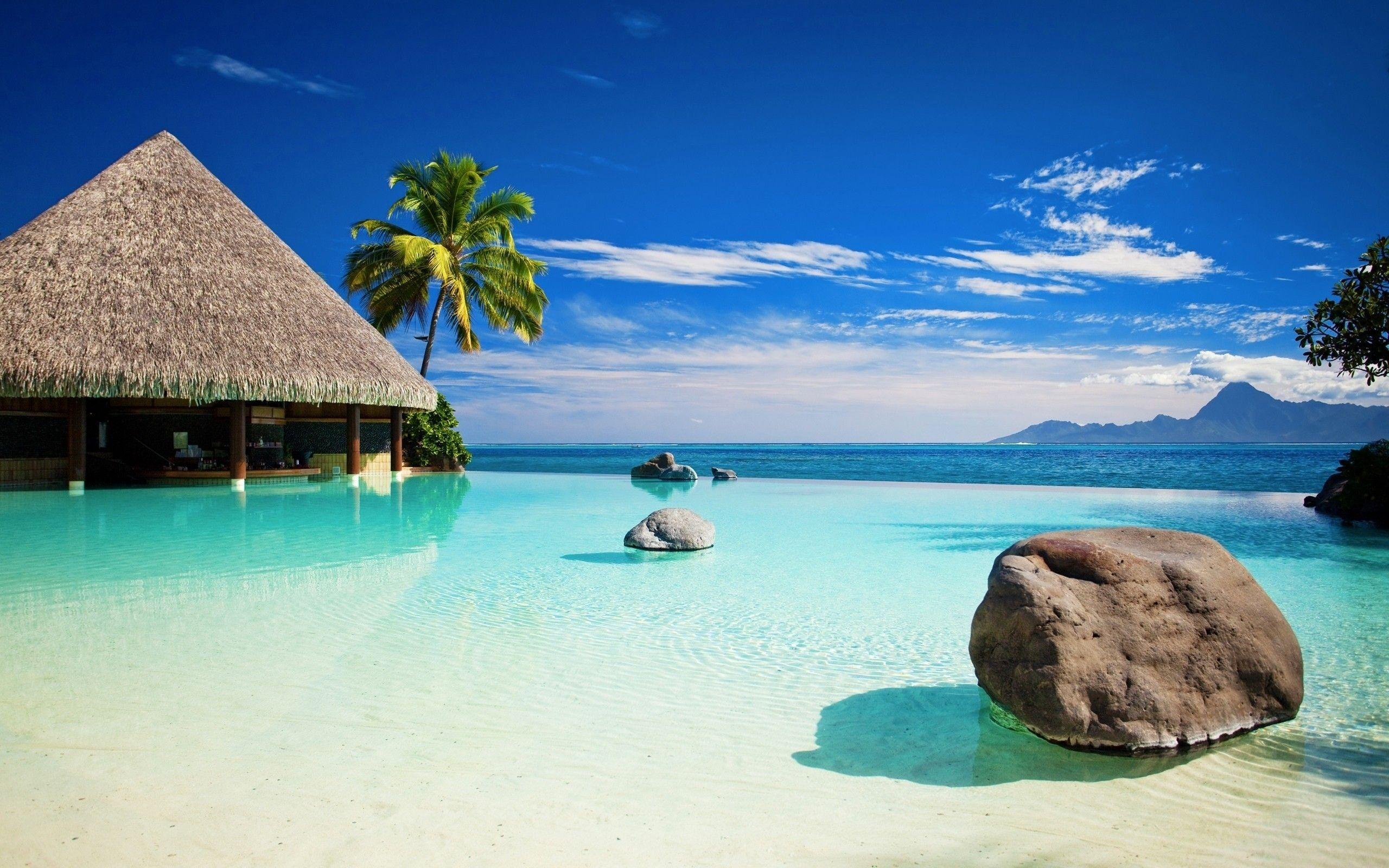 2560x1600 Nature Amazing Pics Hd Wallpaper Desktop Background Image