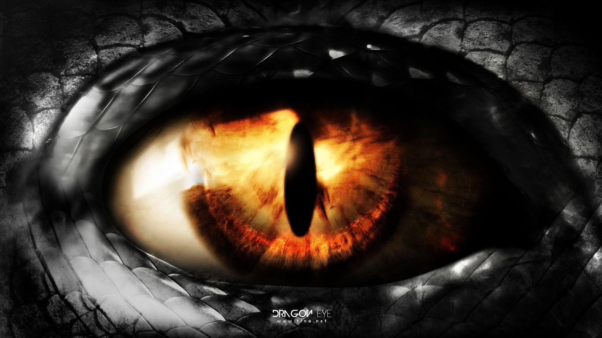 Cool Dragon Eye Wallpapers - Top Free Cool Dragon Eye Backgrounds ...