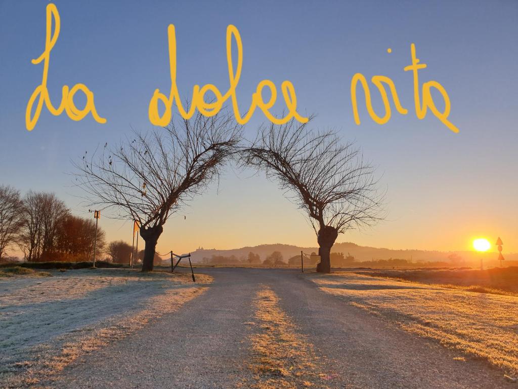 mad love sandals brown