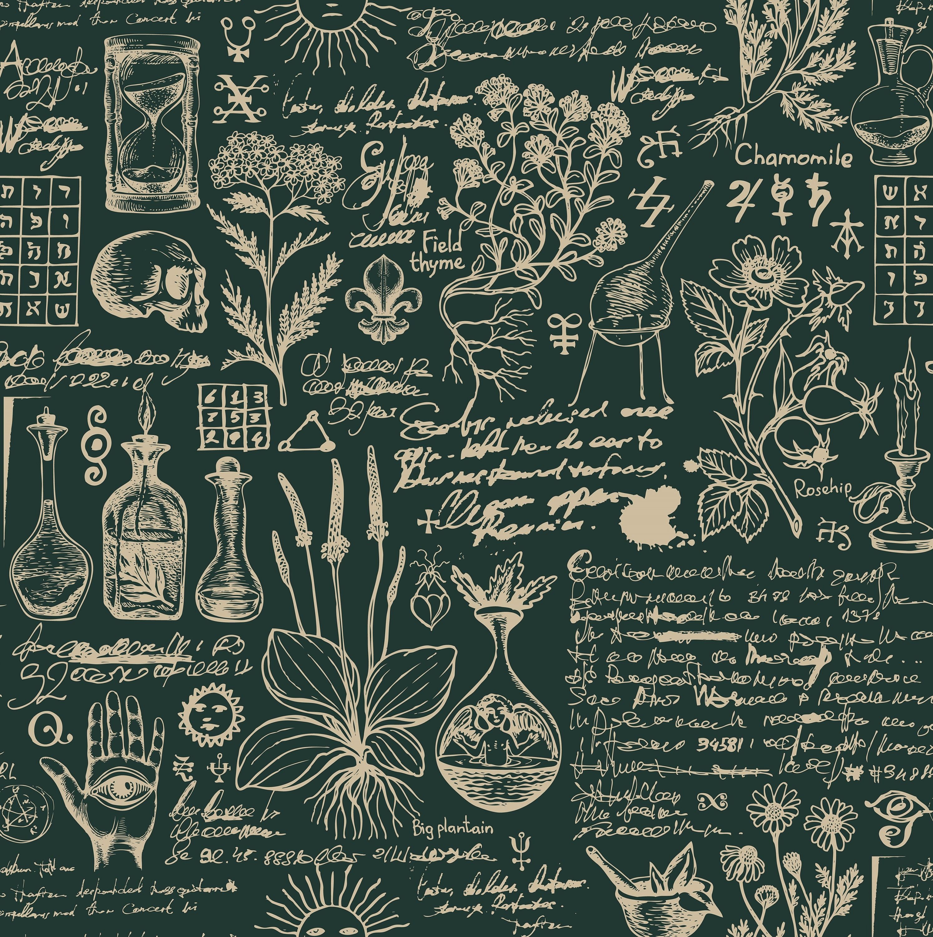 Apothecary Wallpapers - Top Free Apothecary Backgrounds - WallpaperAccess