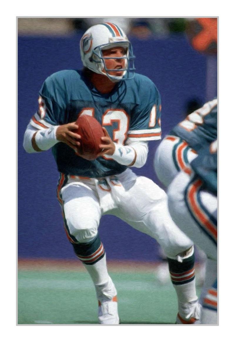Dan Marino Wallpapers - Top Free Dan Marino Backgrounds - WallpaperAccess