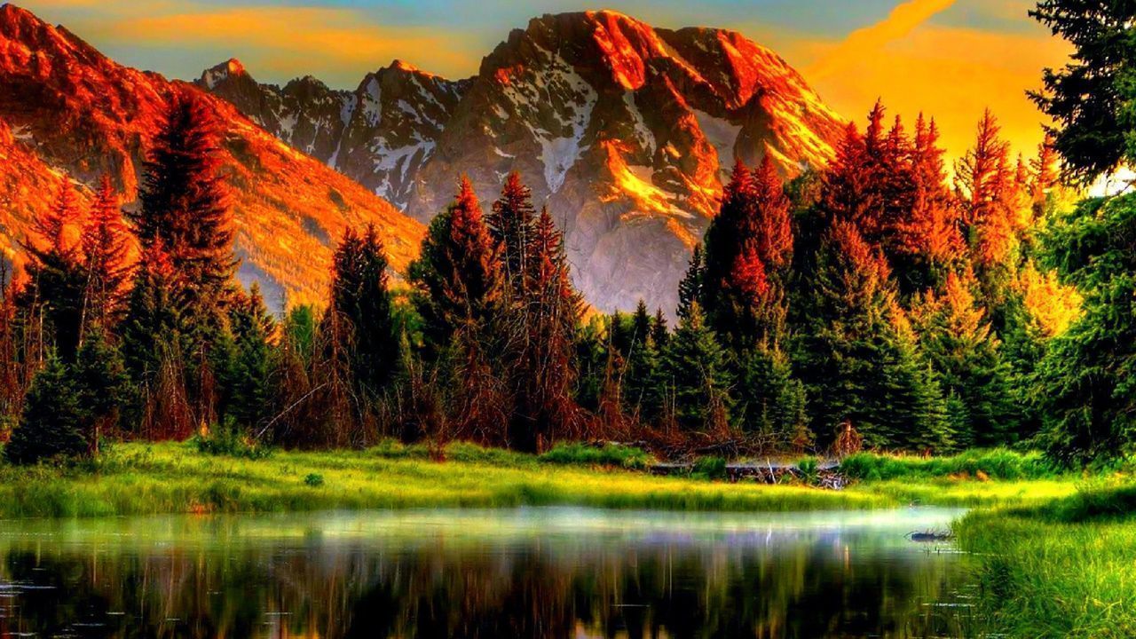 1280x720 Nature Wallpaper HD on Amazon Appstore