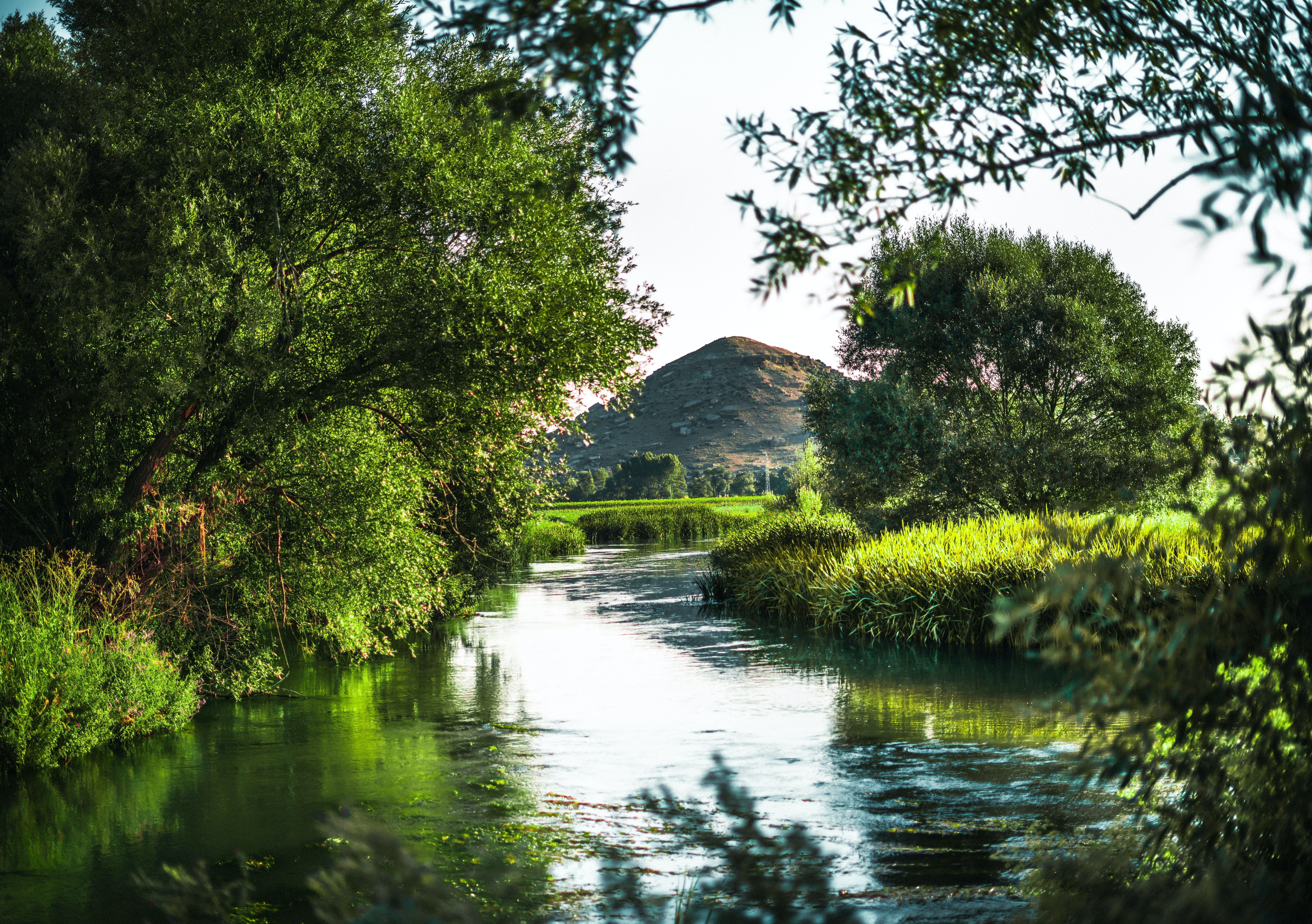7531x5304 River near a Hill · Free