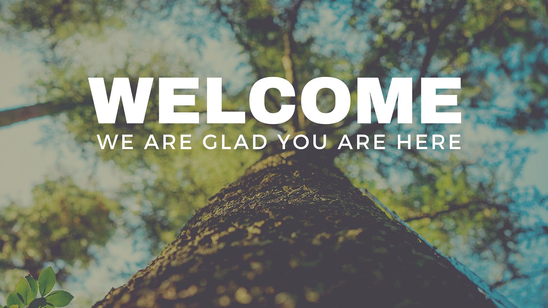 1920x1080 Welcome Graphics Media Drop