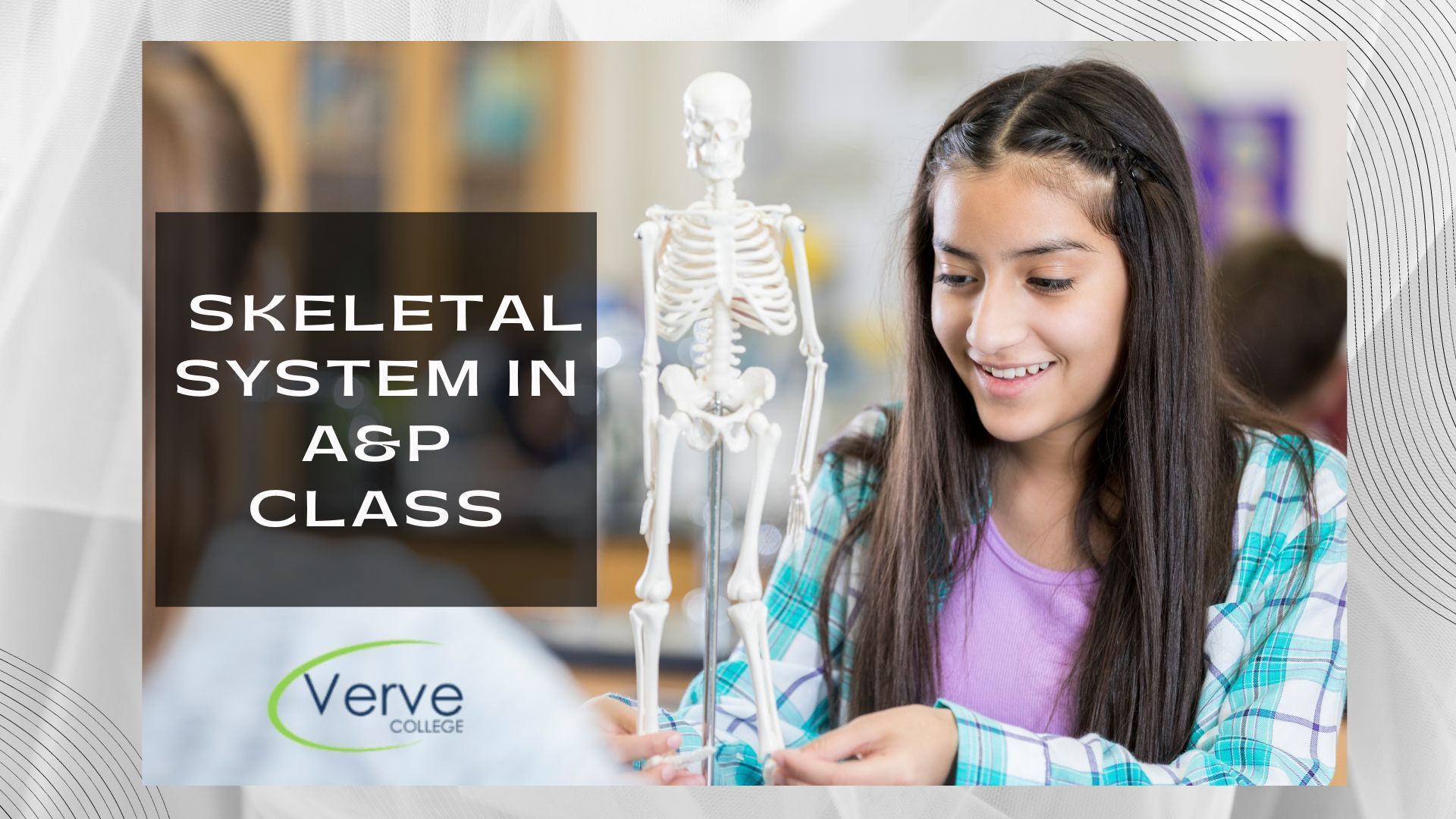 1920x1080 Skeletal System in A&P Class Quick Guide