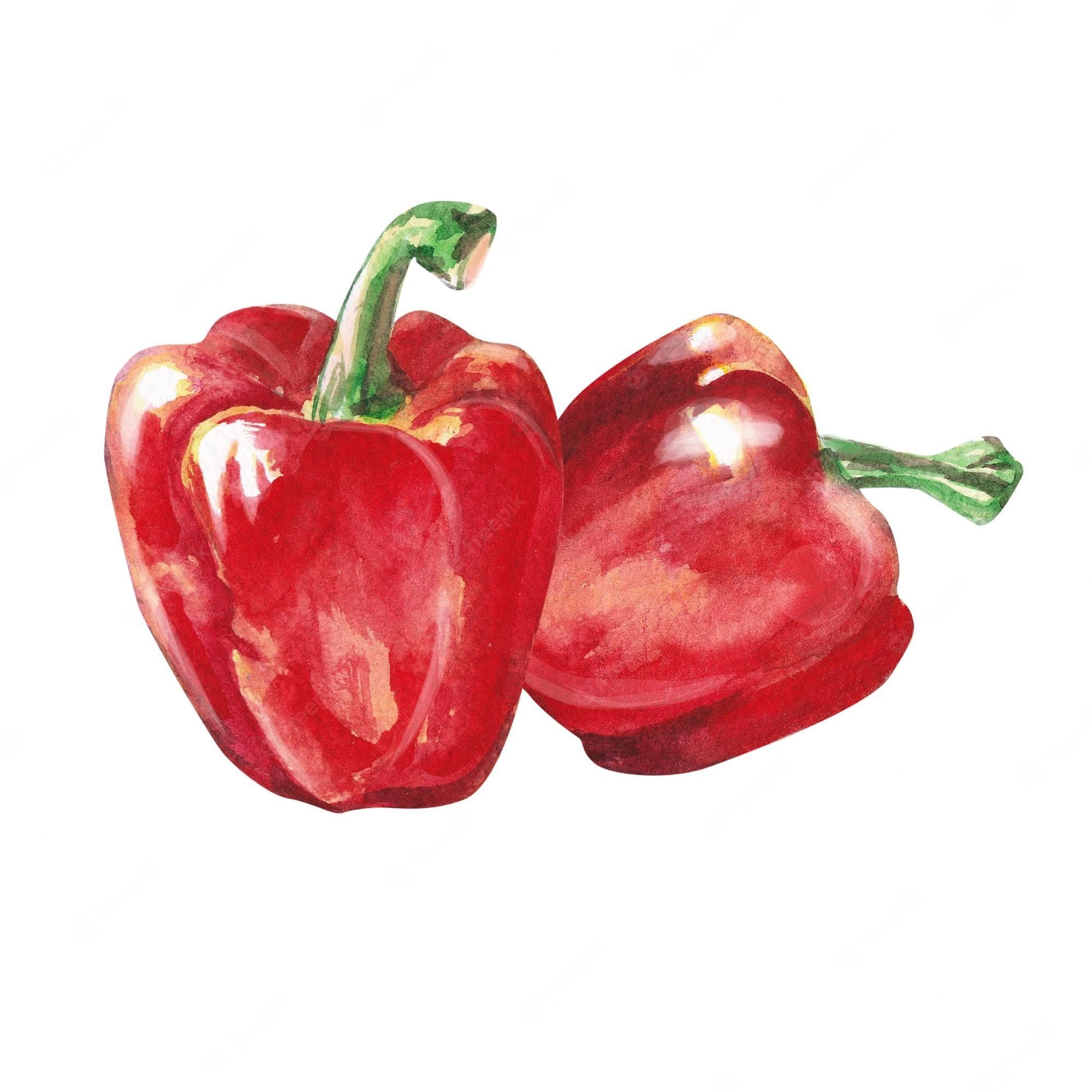 2000x2000 Premium Photo. Watercolor vegetables two red pepper sweet pepper watercolor illustration on a white background hand drawn isolated fresh red pepper paprika design greeting card towel wallpaper packaging