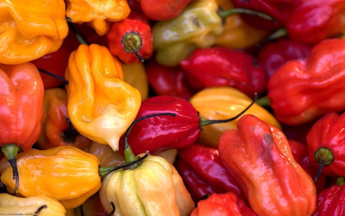 1200x750 Nice Fruits And Vegetables, Bell Pepper, Food background. Download Best Free photo