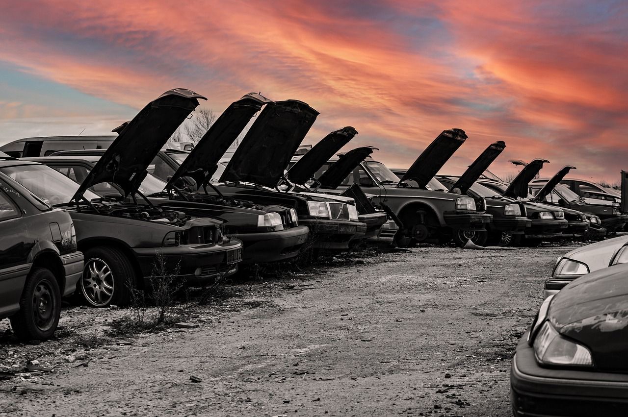 Lush How Much Can I Get To Junk My Car Moment Concept Lush How Much Can I Get To Junk My Car Moment Concept