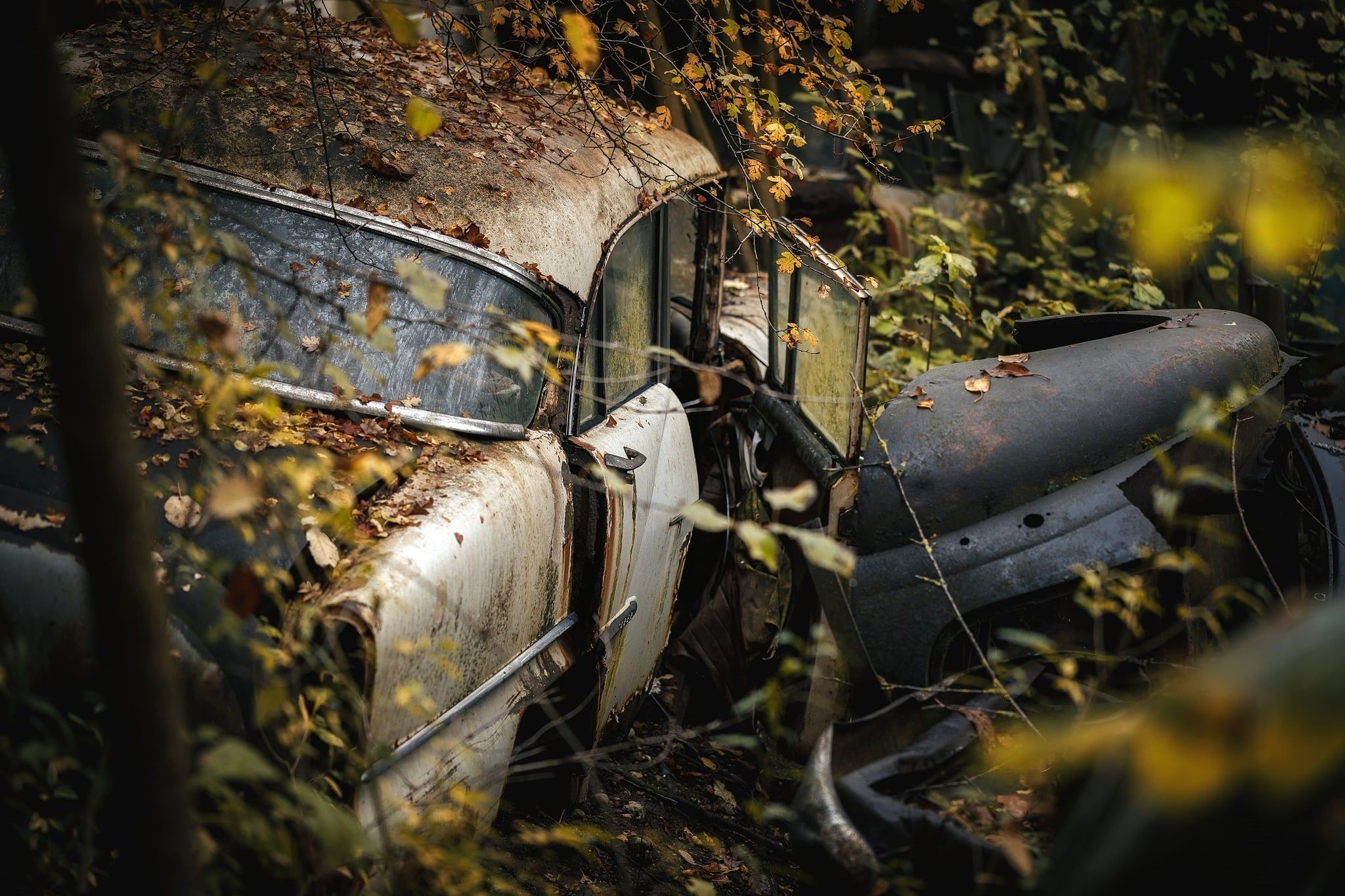 2048x1365 Wallpaper / deterioration, outdoors, day, 1080P, no people, decline, old, transportation, nature, land vehicle, metal, wreck, land, junkyard, ruined, plant, broken free download