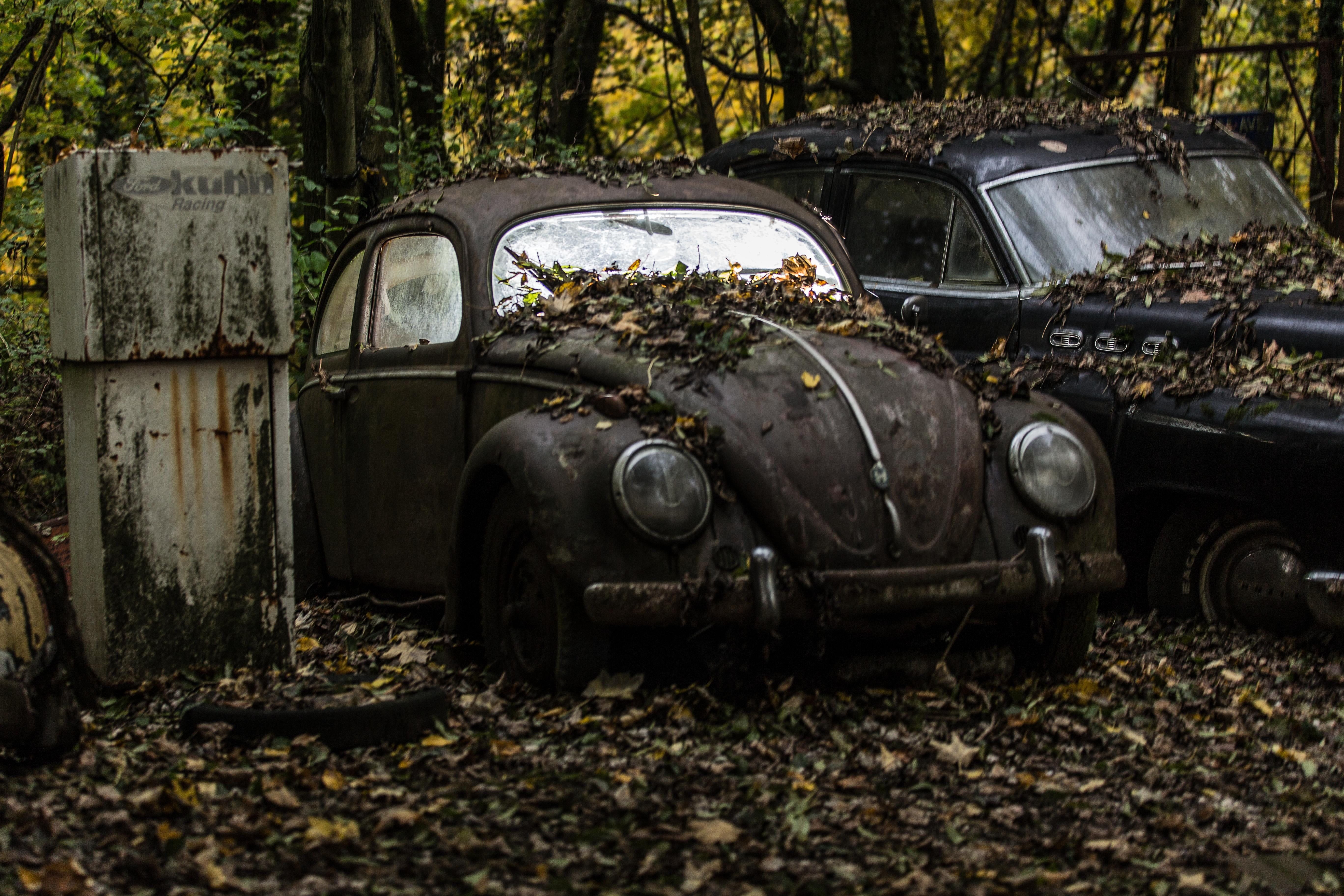 5472x3648 Wallpaper / car, cars, junkyard, photo, düsseldorf, canon, dirty, damaged, wendelin, volkswagen, photography, wreck, ruined, wood, rusty, flash, Royalty, near, trees free download