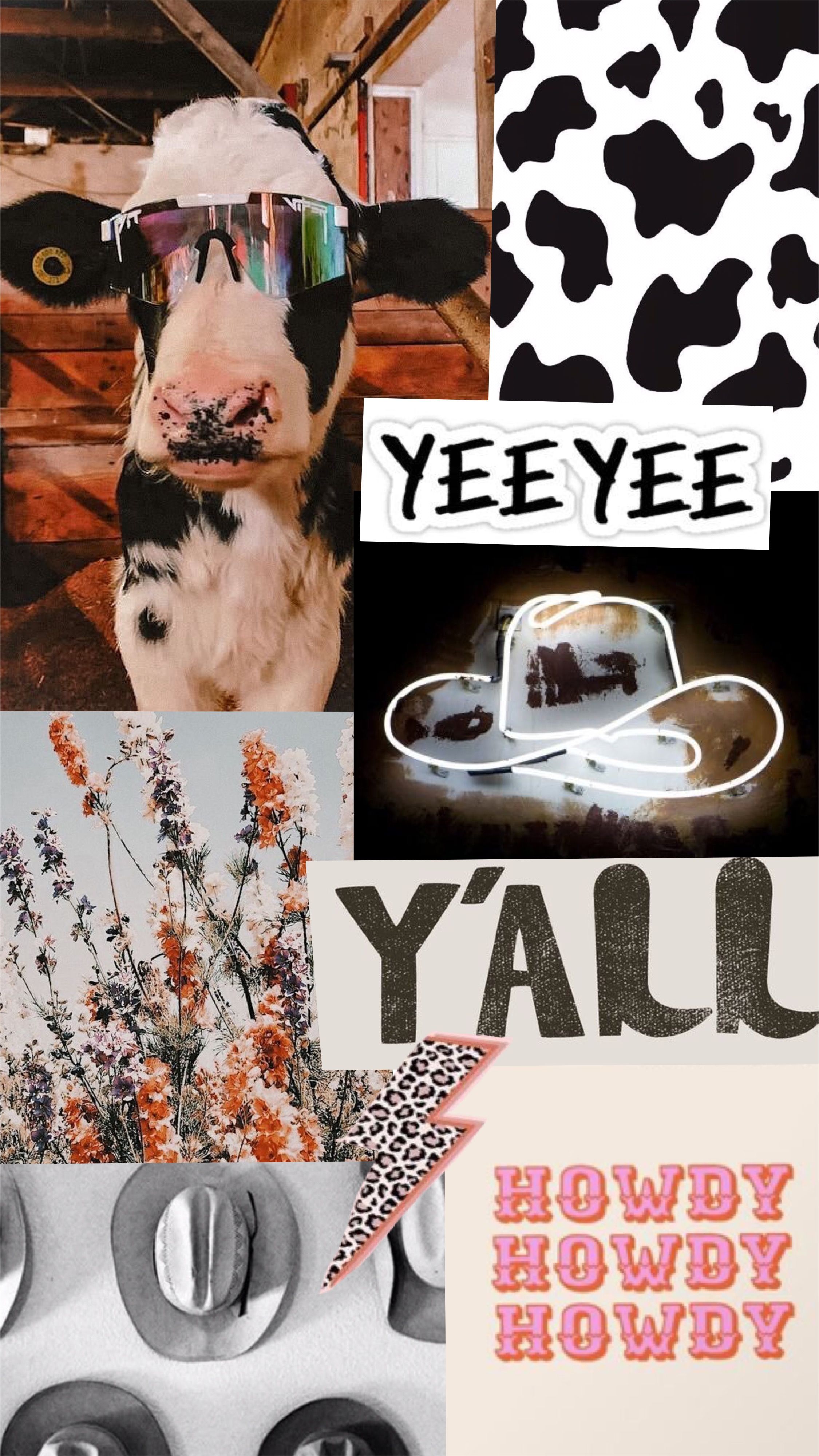2250x4000 Cowgirl Aesthetic Wallpaper
