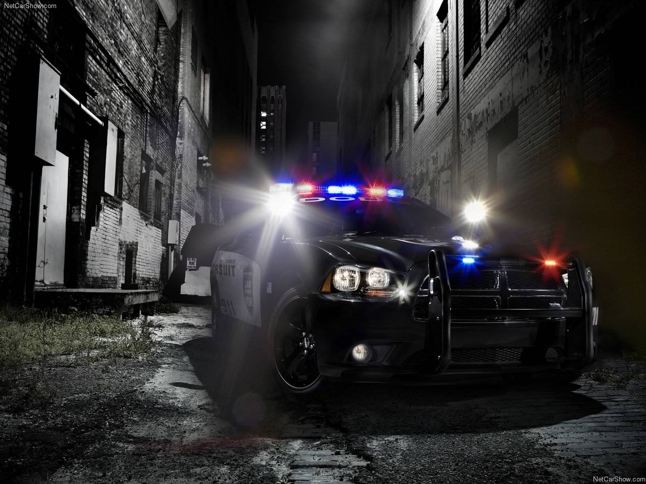 232500 Police Stock Photos Pictures  RoyaltyFree Images  iStock   Police lights Uk police Police car