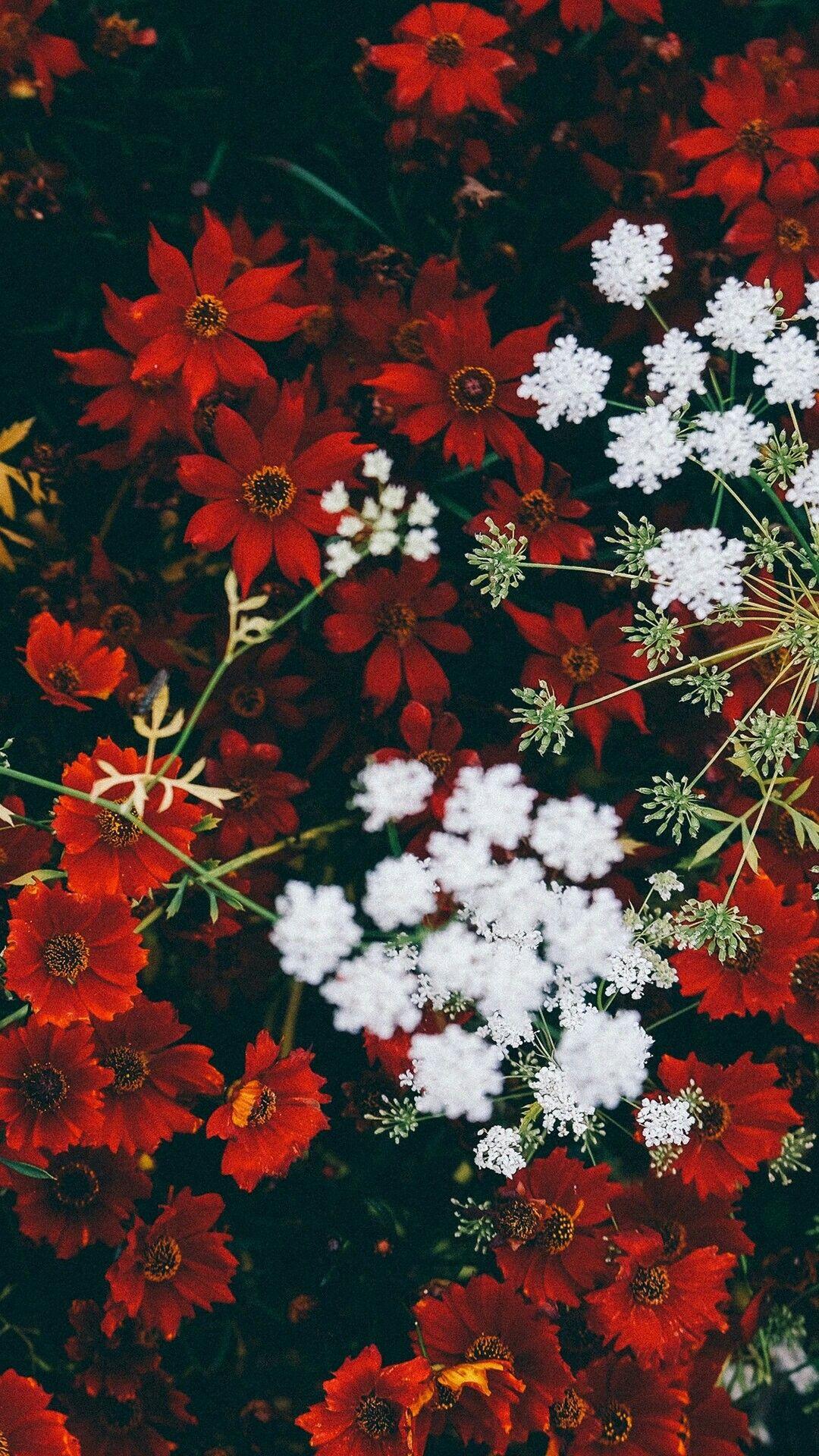 Dope Floral Wallpapers - Top Free Dope Floral Backgrounds - WallpaperAccess