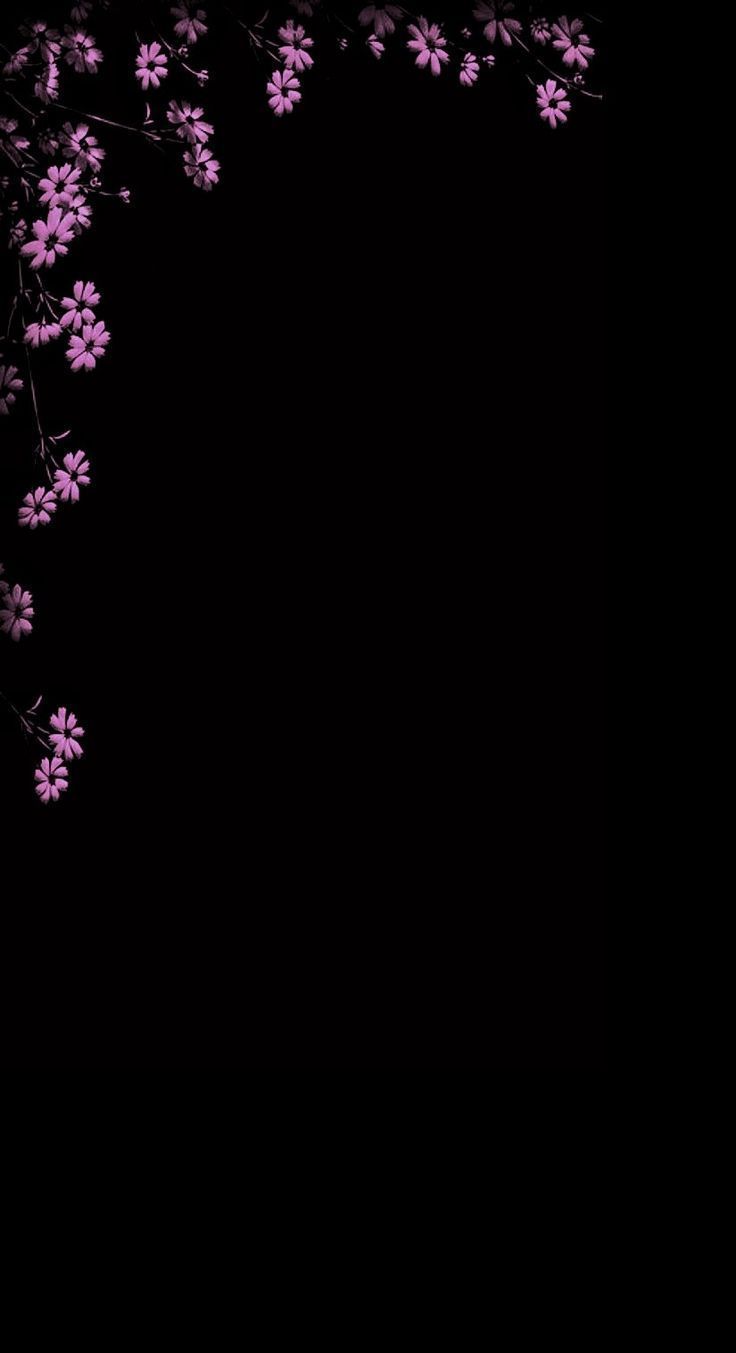 736x1353 sakura blossom. Pink and black wallpaper, Pink wallpaper background, Phone wallpaper pink