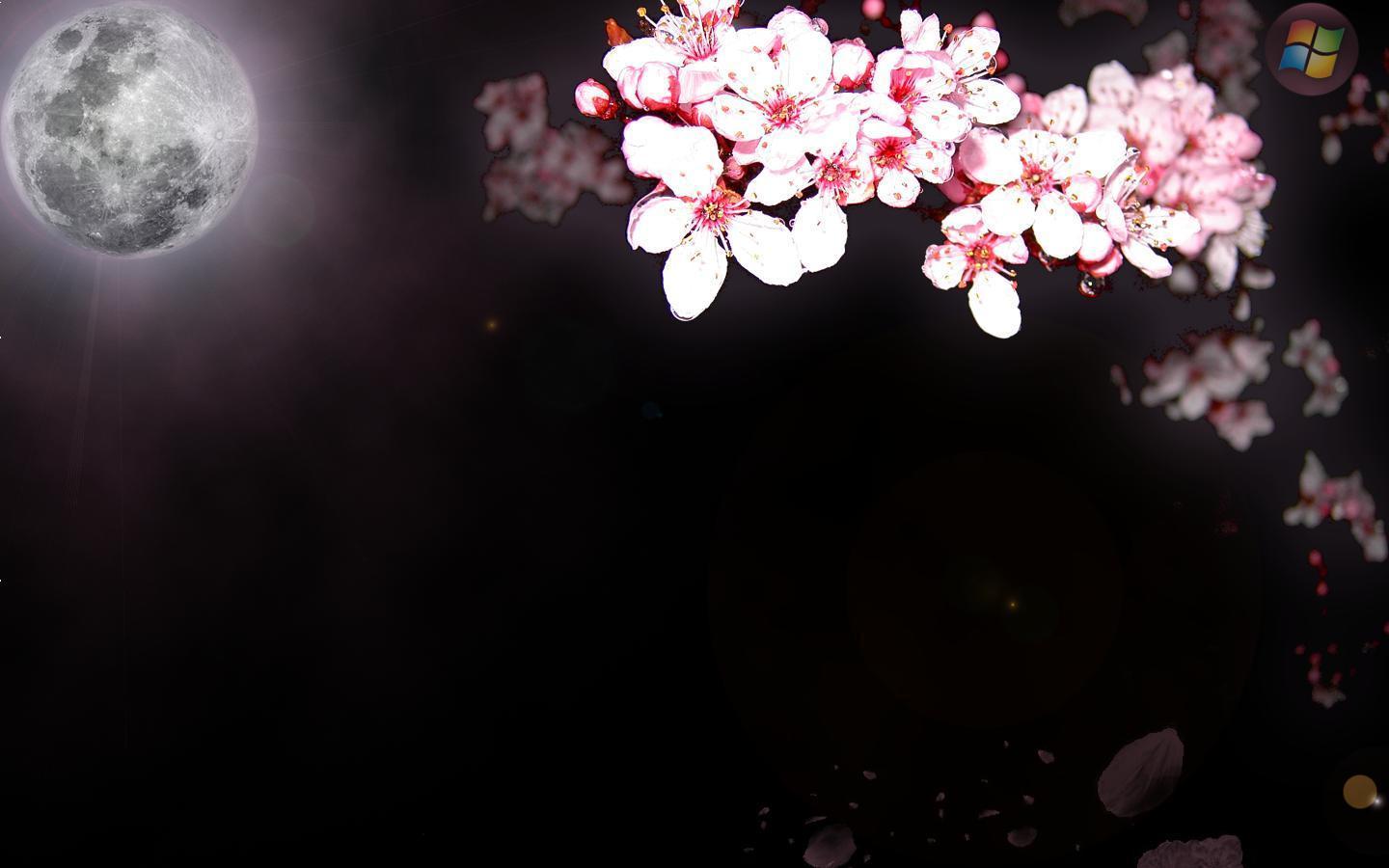 1440x900 Sakura Background