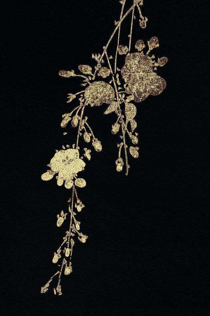 736x1104 Golden cherry blossom on black background. premium image / nap. Black background, Japanese artwork, Cherry blossom