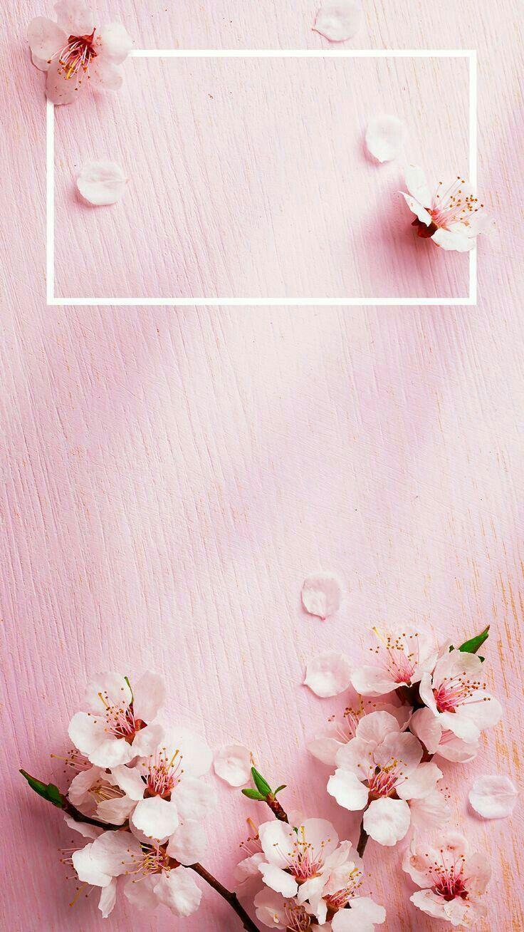 736x1308 Wall_jia. Designs. Walls, Wallpaper and Phone